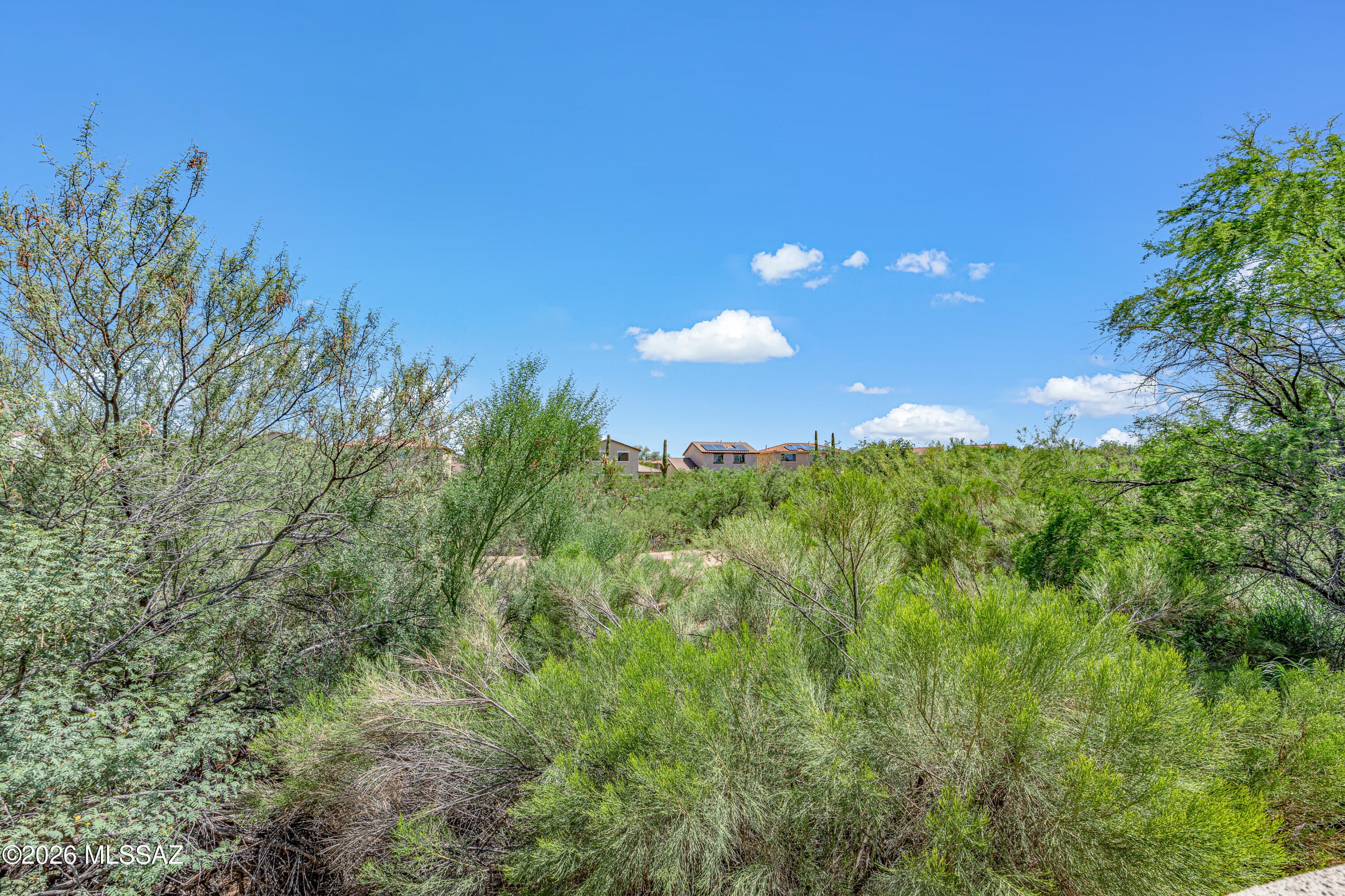 Sonora At Rancho Sahuarita (1-243) - Residential