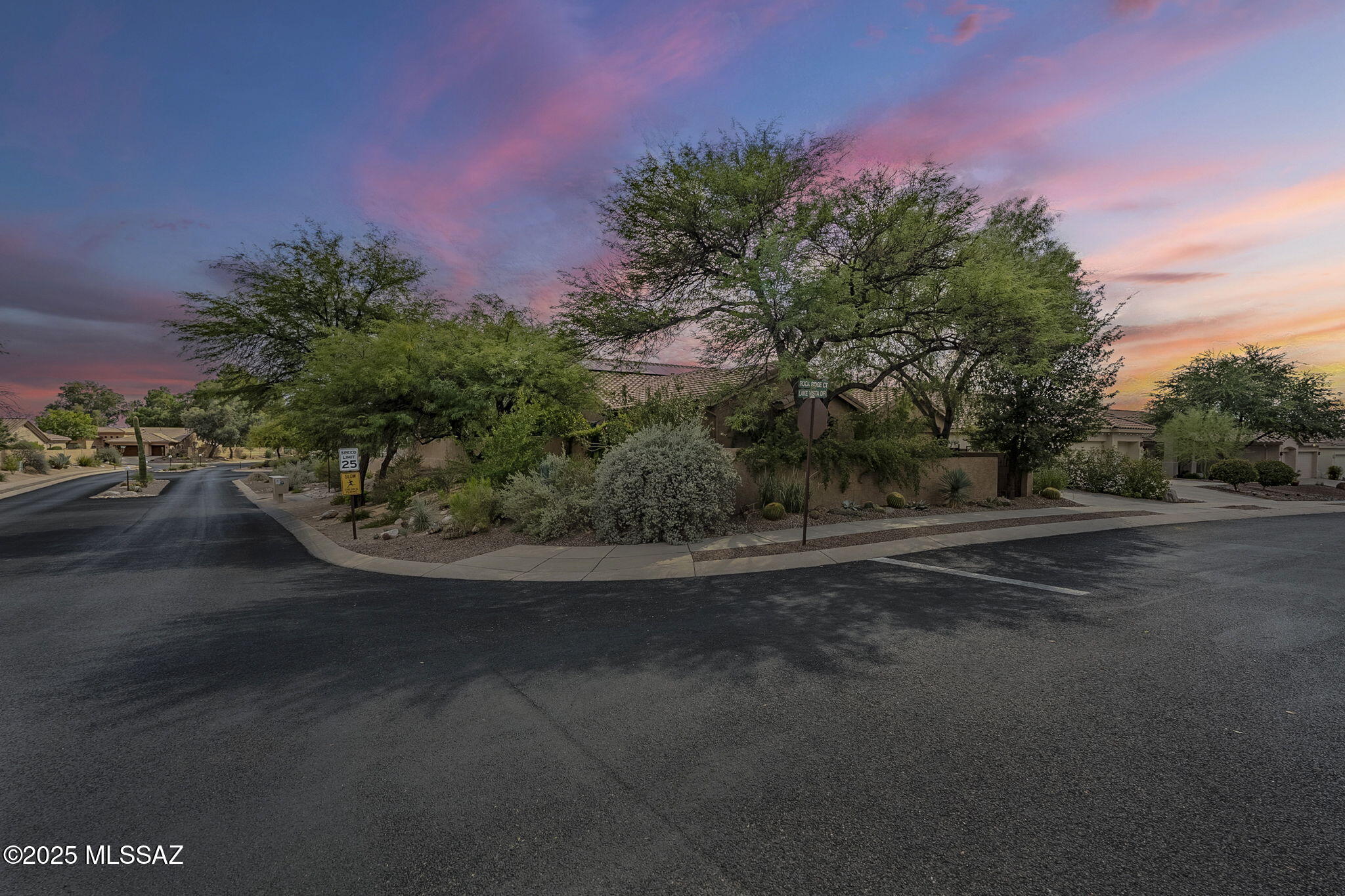 This Castle Rock CORNER LOT gem is one of the best you'll find and it is UNDER market value!! Almost 3000sqft of high ceilings, large, open and flowing living spaces, and fresh interior paint as of 2025. So many amazing perks with this house including: COMPLETELY NEW ROOF as of 2025; 2 BRAND NEW GOODMAN HVAC systems as of 2025; owned and leased SOLAR panels that dramatically reduce your electric costs; and a private and shaded front, side, and back yard that is unique from so many of the other homes in the community. 

The home has an enclosed Arizona Room that is cooled by a separate mini-split. It also has a fully permitted bump-out with a window bay and separate mini-split in the primary suite. Large walk-in closets, DAVIS KITCHEN custom cabinetry, ROGO's custom flooring w/ a decorative concrete overlay, Rinnai TANKLESS water heater, and a gourmet kitchen with a pot-filler make it a home you can show off with pride. And one of the best features: A SECONDARY suite with its own PRIVATE entrance!

Outside you have TRAVERTINE pavers and artificial turf with several fruit trees. It is private and shaded. The front yard was closed in with block and a stucco finish. And space for a hot tub if you so choose!

And the community? This is one of the most one-of-a-kind communities in all of Southern Arizona. Fully gated with 14 lakes allow for privacy and some of the best fishing you'll find in all of Arizona! You have two community pools and spa, tennis courts, pickle ball, and a clubhouse. Located just minutes away from the base of Mount Lemmon and the Catalina Mountain foothills, this is a RARE find. And for this price, consider this an absolute steal. Call or text today to get a private tour!
