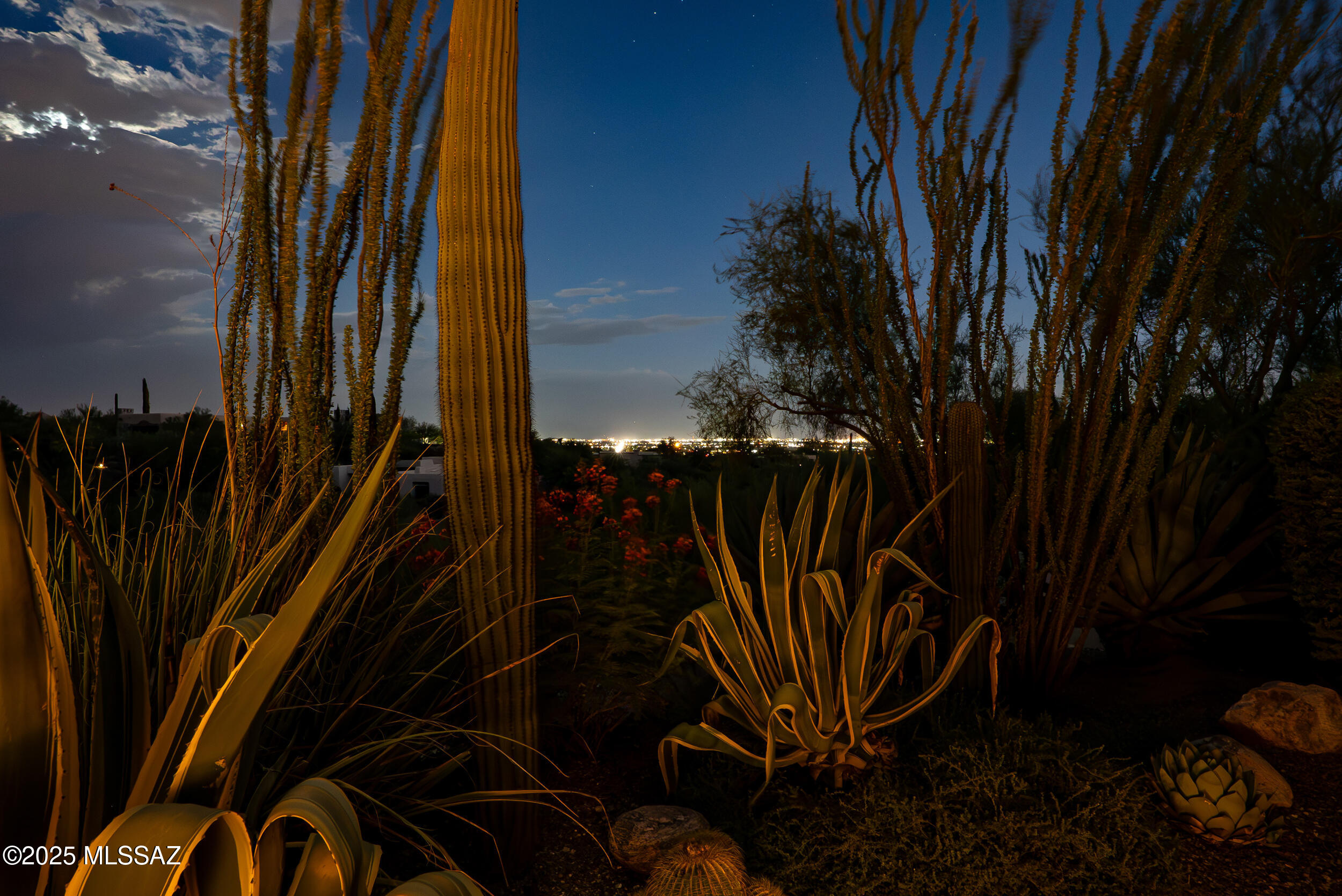 Catalina Foothills Estates #10 (259-278) - Residential