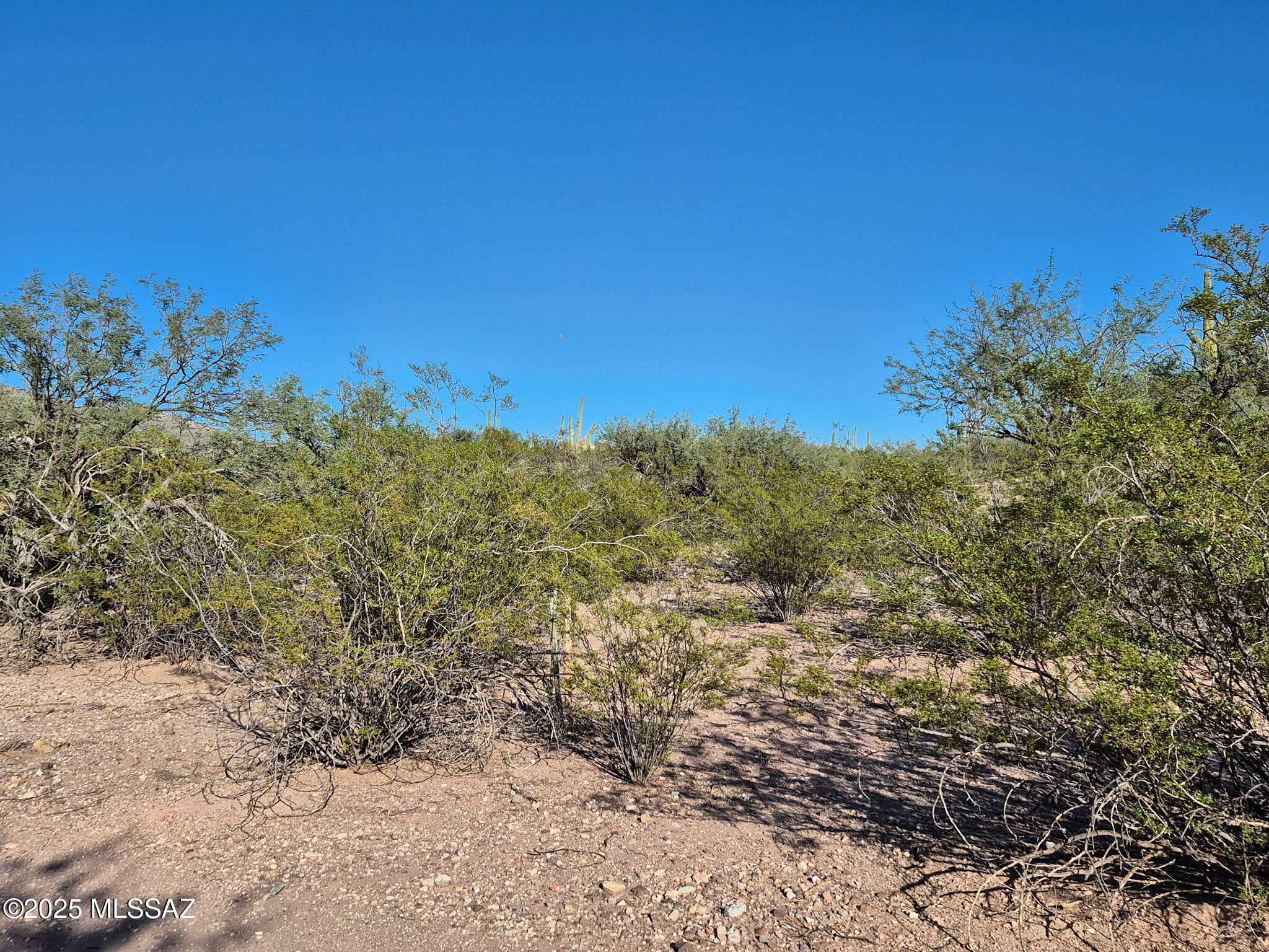 Beautiful, secluded 3.32 Acre suburban lot with Southeast views of the Rincon Mountains. Back ups to La Cebadilla Estates. Recently installed water main and  oversize 1'' Meter. Many Saguaros, lush vegetation and interesting topography contribute to a level, secluded homesite and footprint for most any size luxury home construction.  Close to many riding trails. Ask listing agent for preliminary concept and design work already performed by owner.
