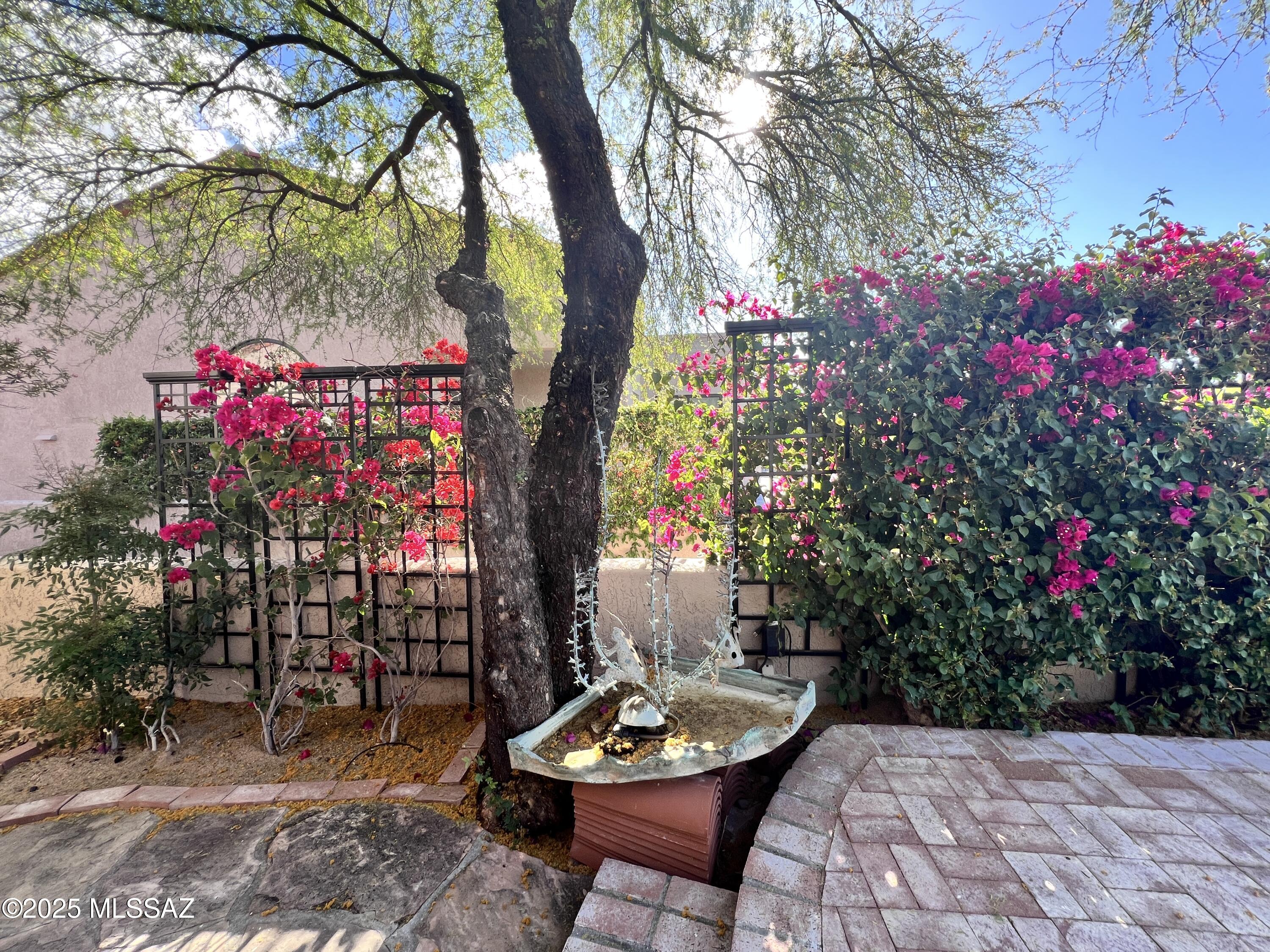 Ventana Serena (1-46) - Residential Lease