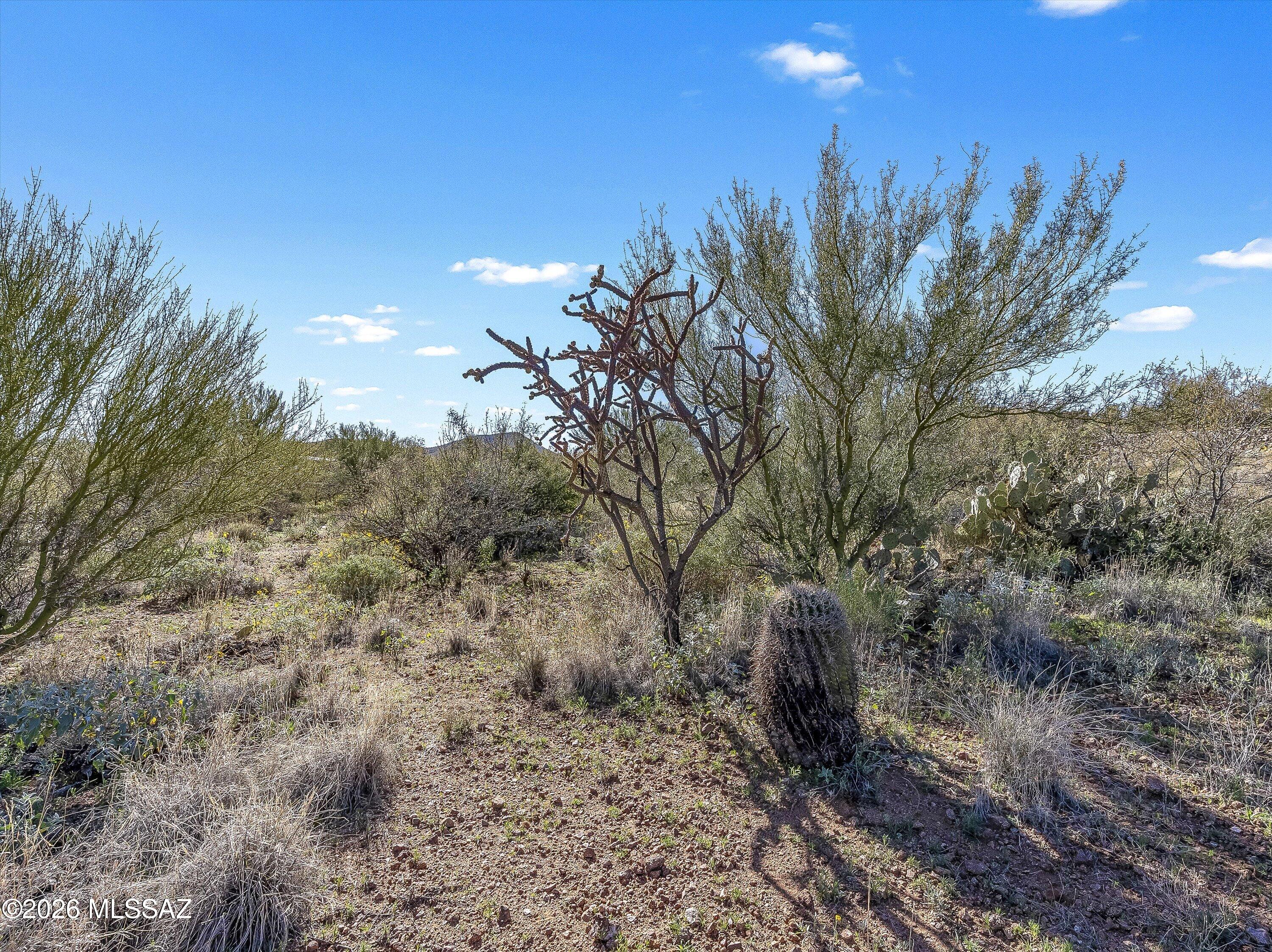 Mountain Creek Ranch (1-64) - Land