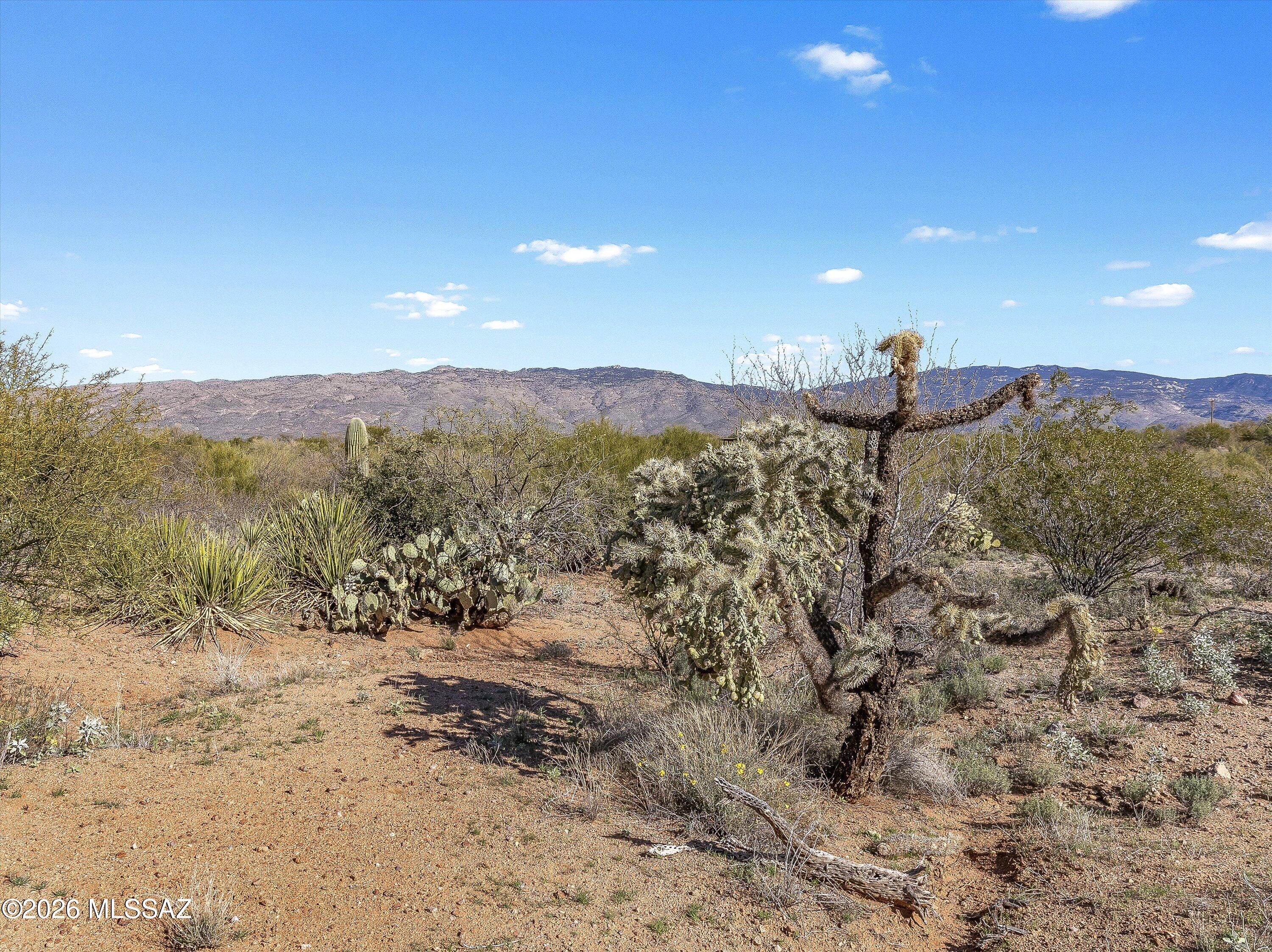 Mountain Creek Ranch (1-64) - Land