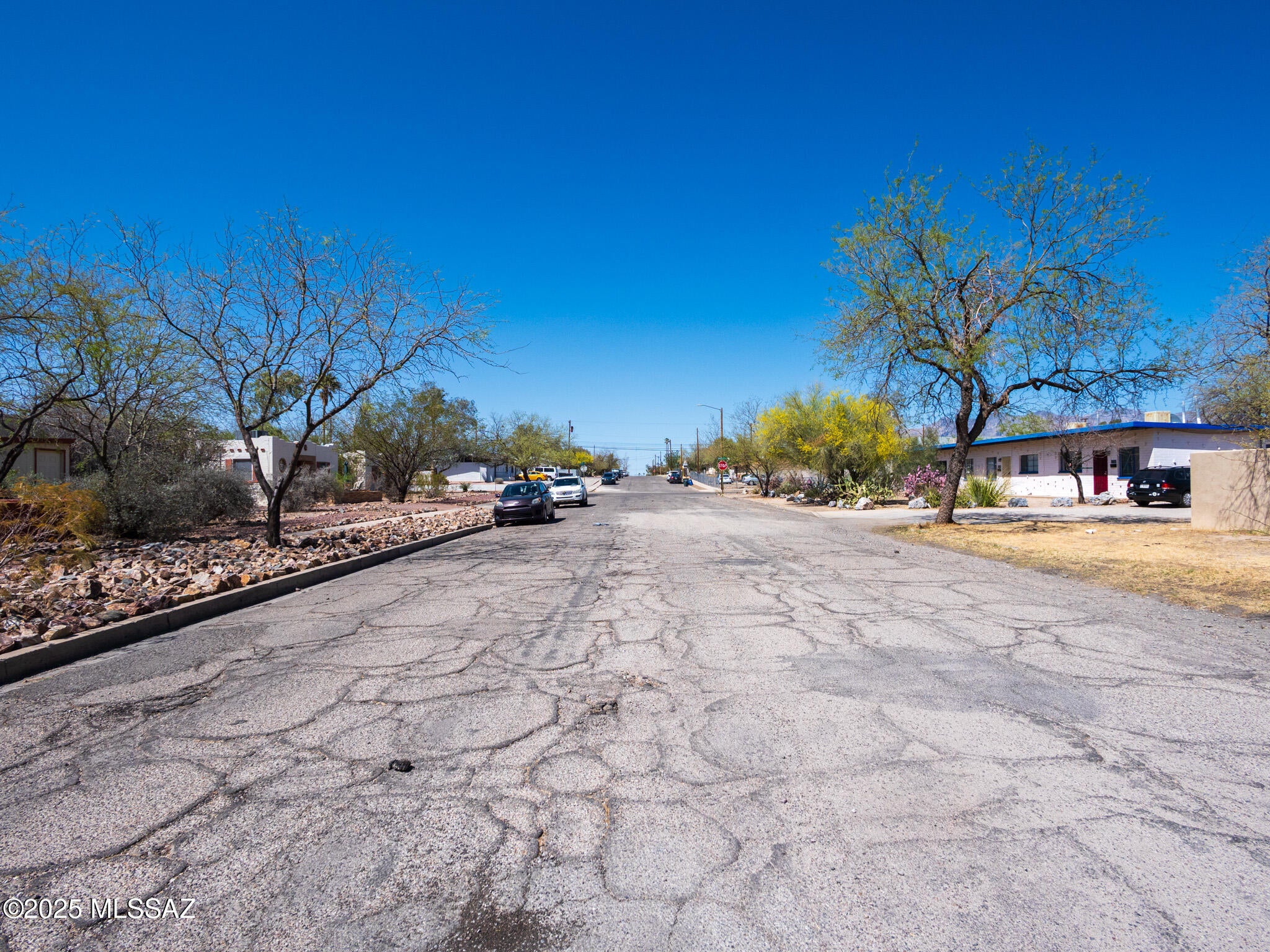 Feldmans Add - Residential Lease