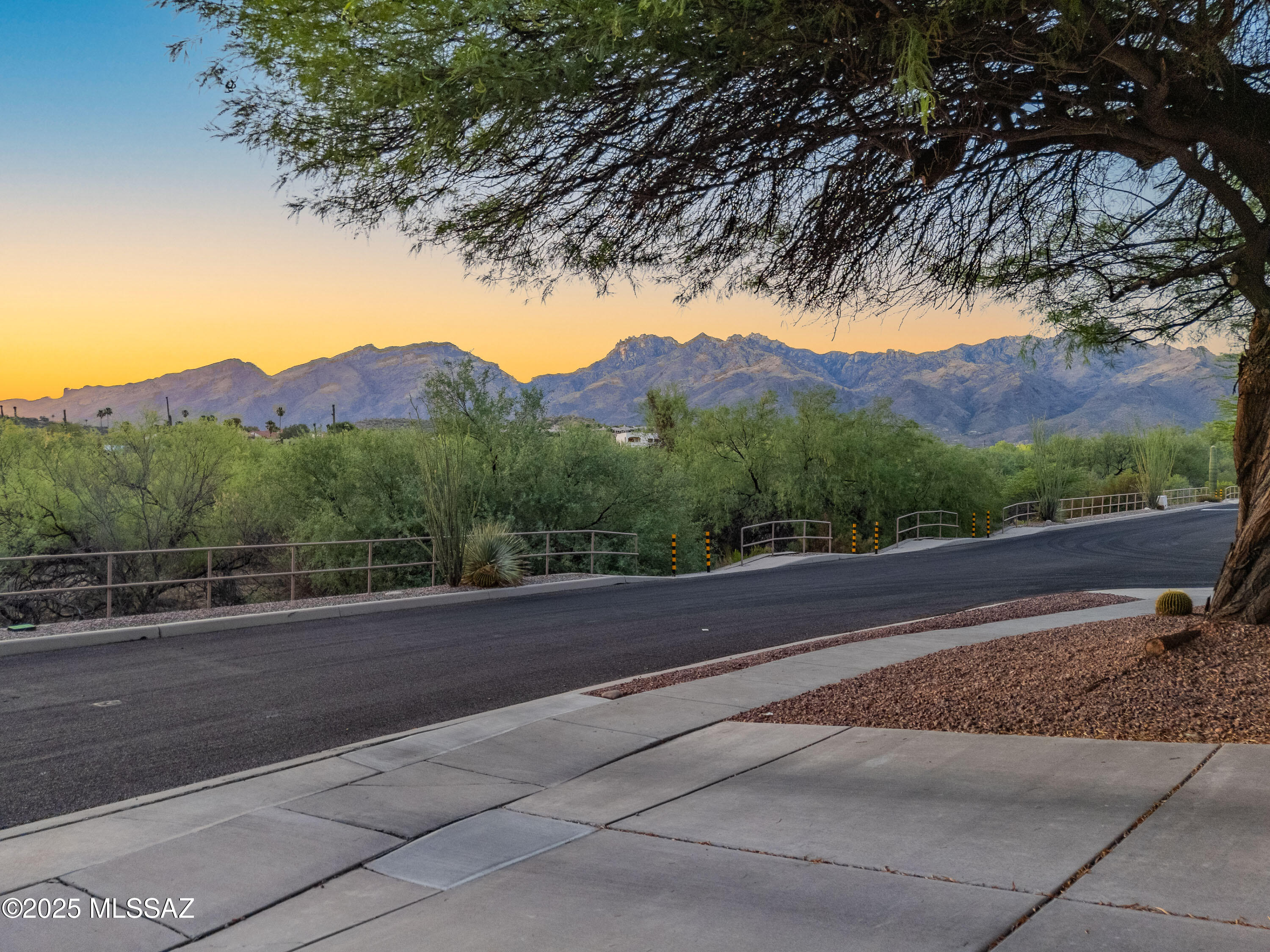 Shadows @ Sabino (1-103) - Residential