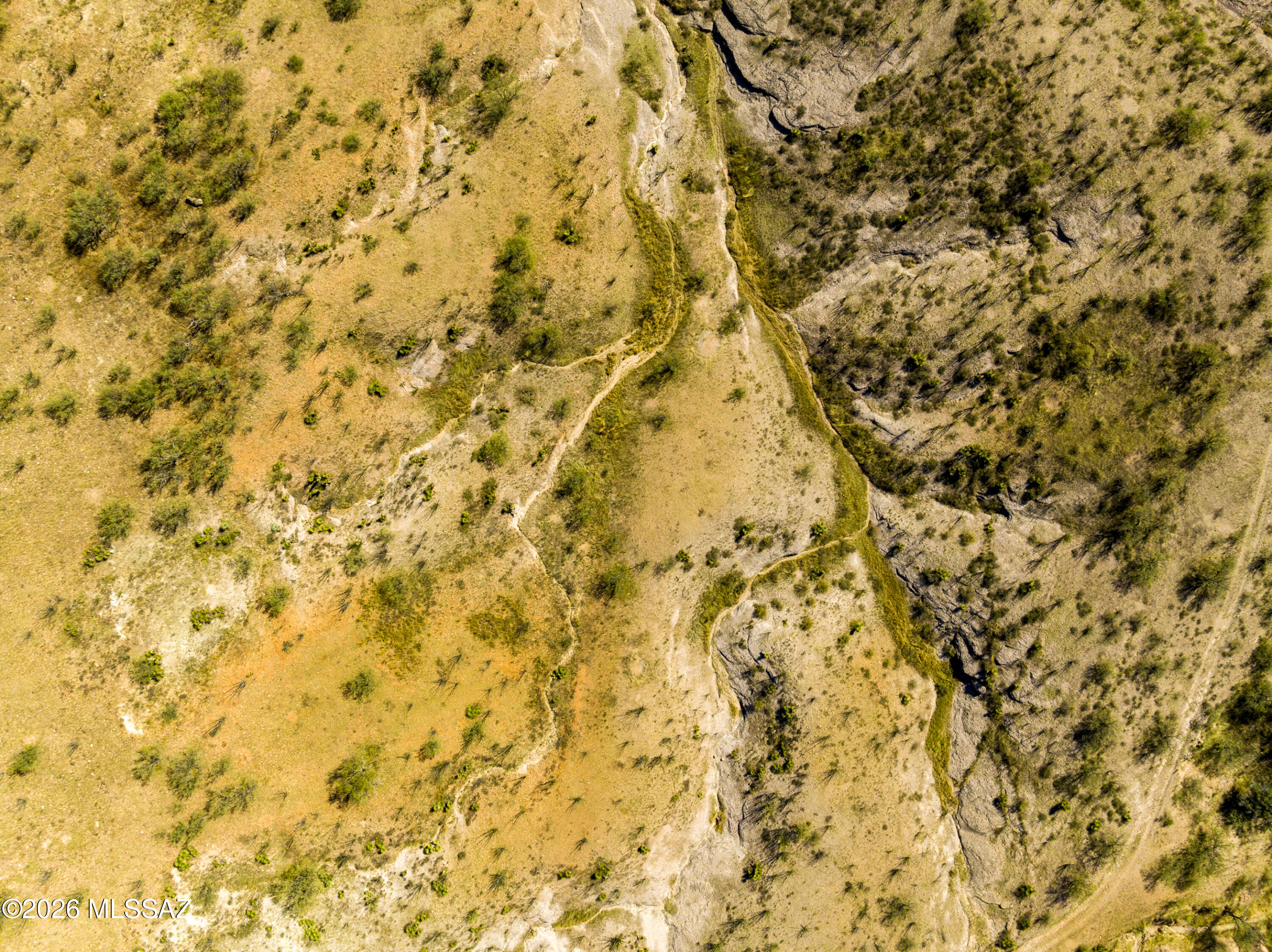 Kino Springs Nogales - Land