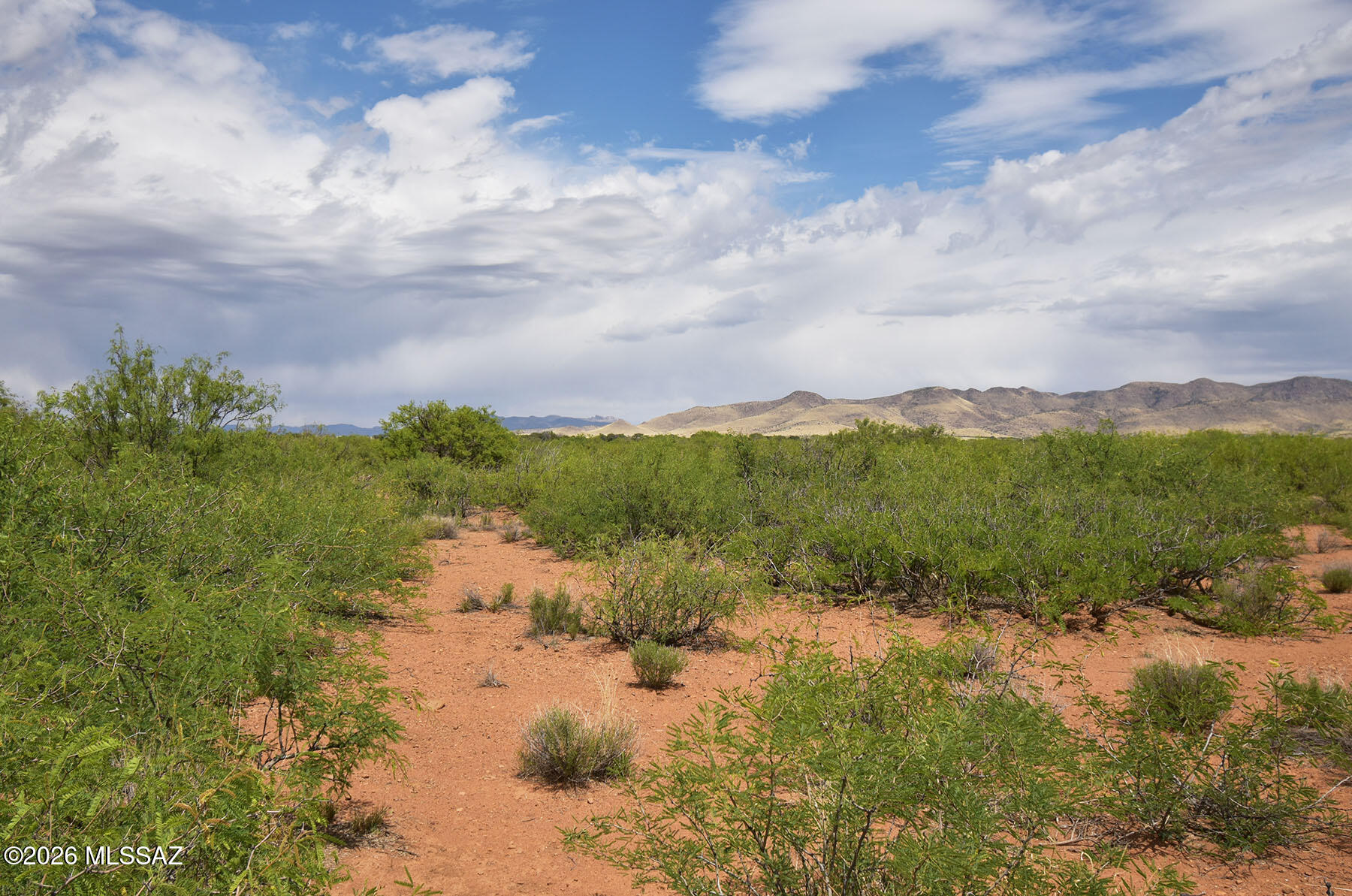 Turkey Creek Ranch - Land