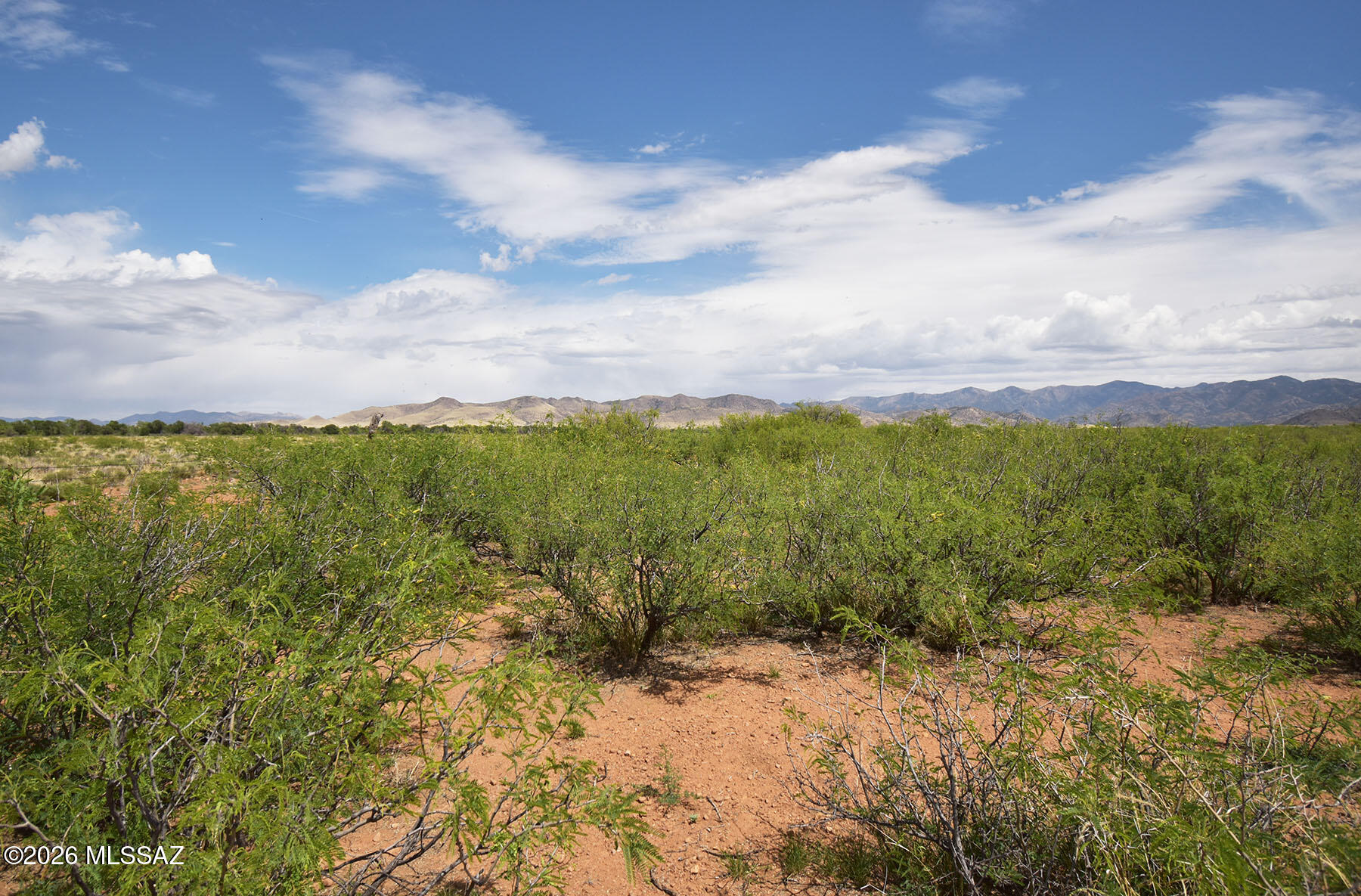 Turkey Creek Ranch - Land