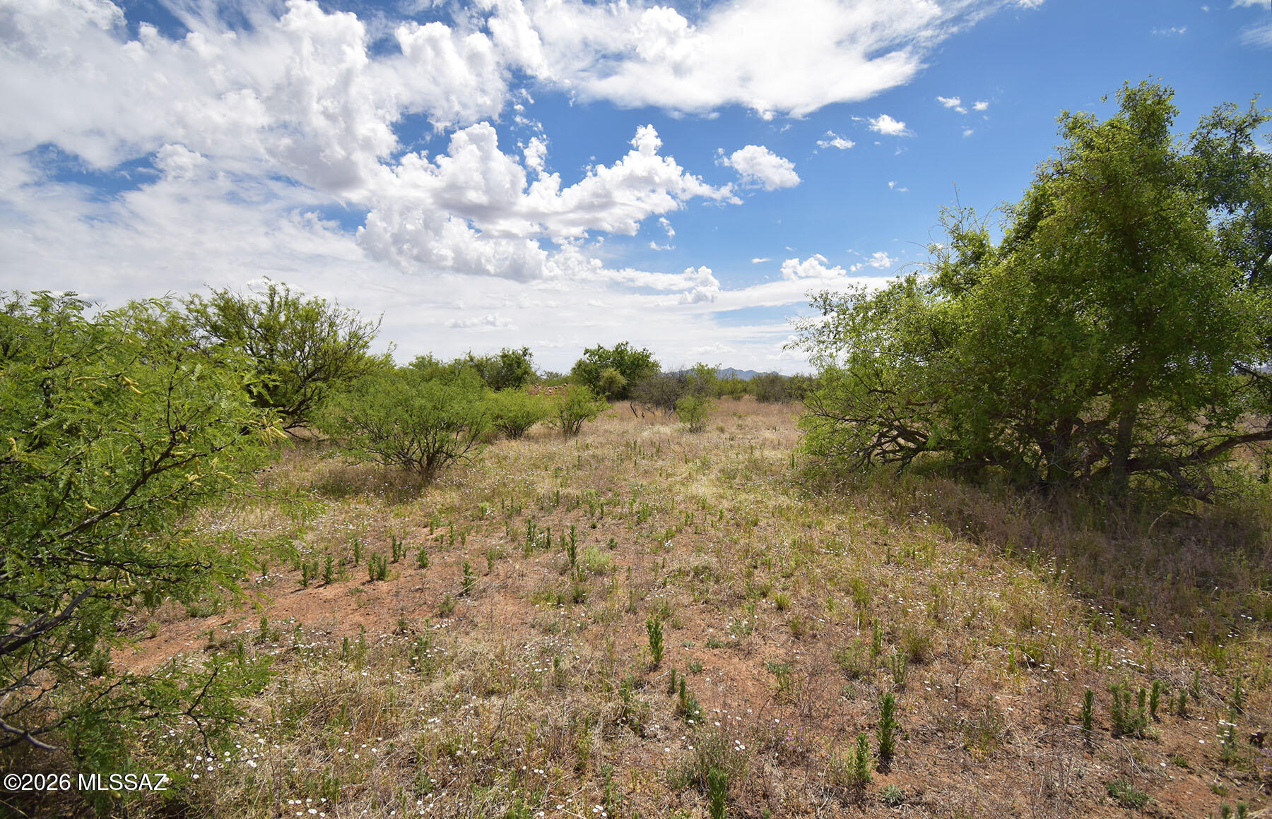 Turkey Creek Ranch - Land