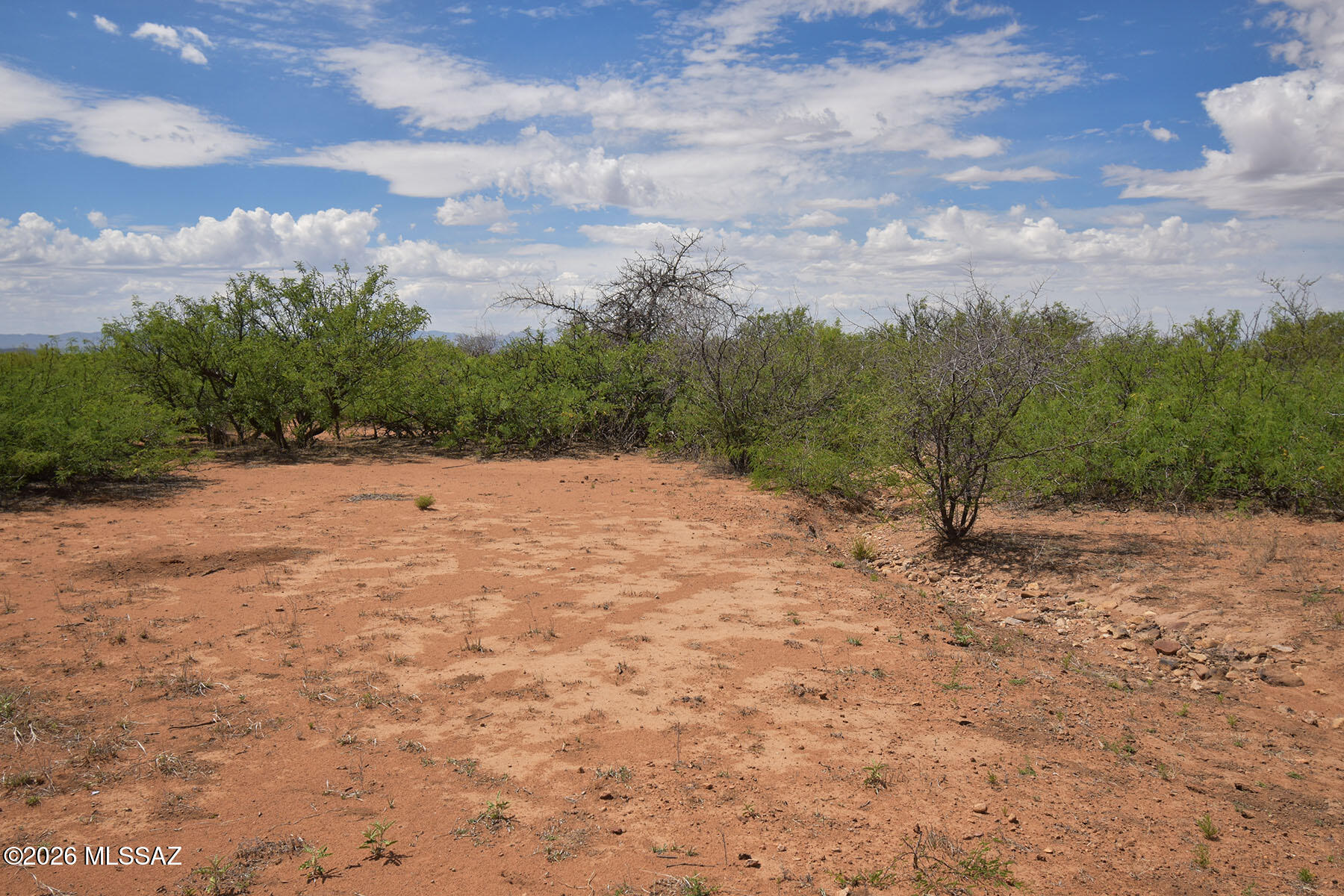 Turkey Creek Ranch - Land