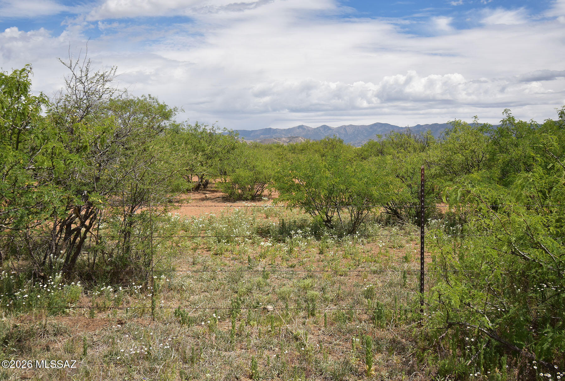 Turkey Creek Ranch - Land