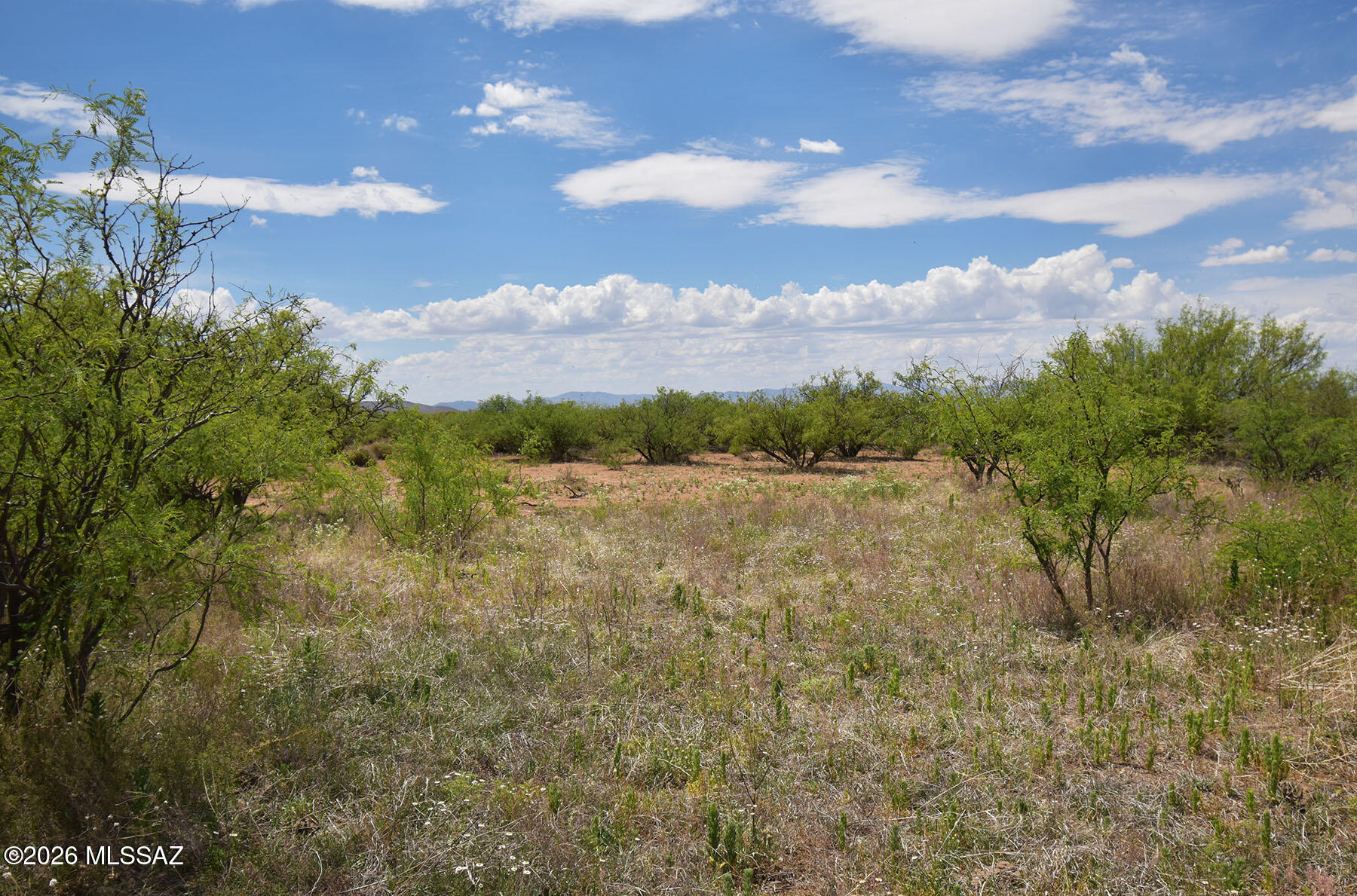 Turkey Creek Ranch - Land