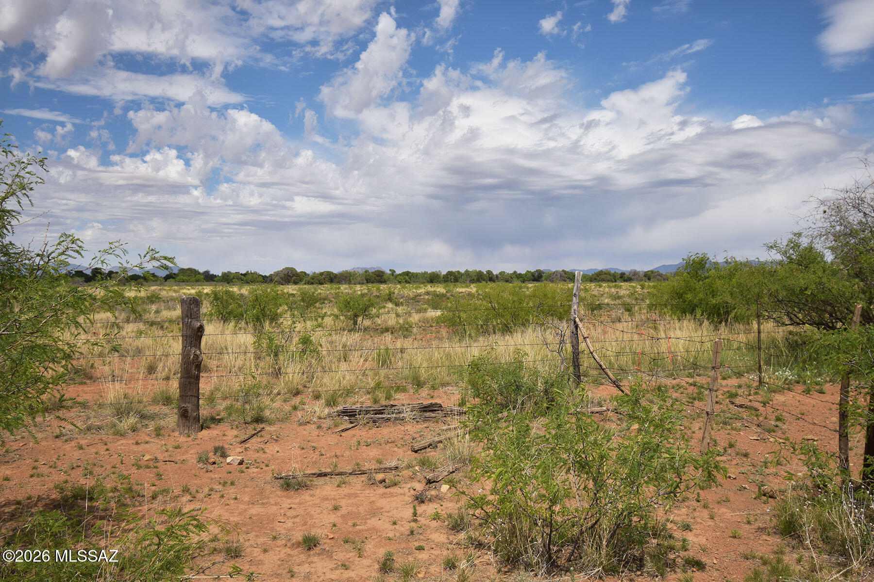 Turkey Creek Ranch - Land