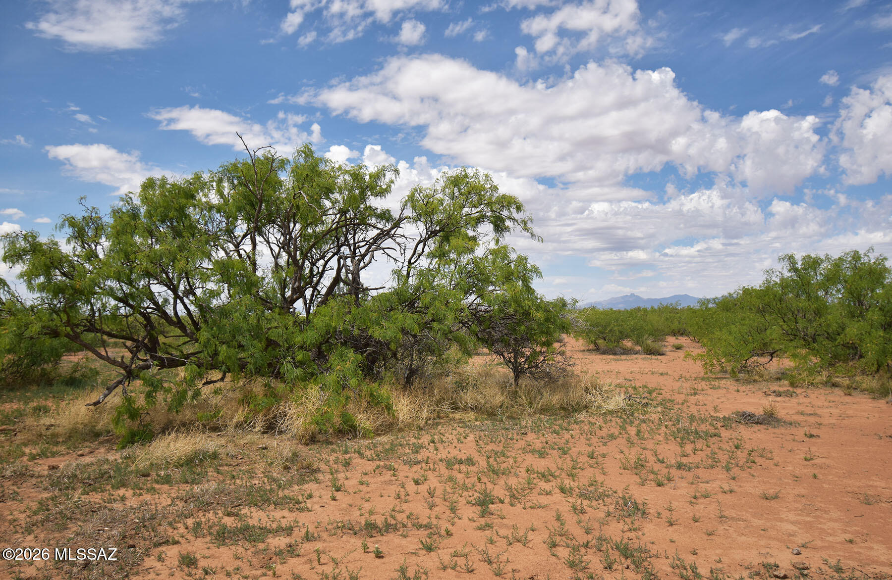Turkey Creek Ranch - Land