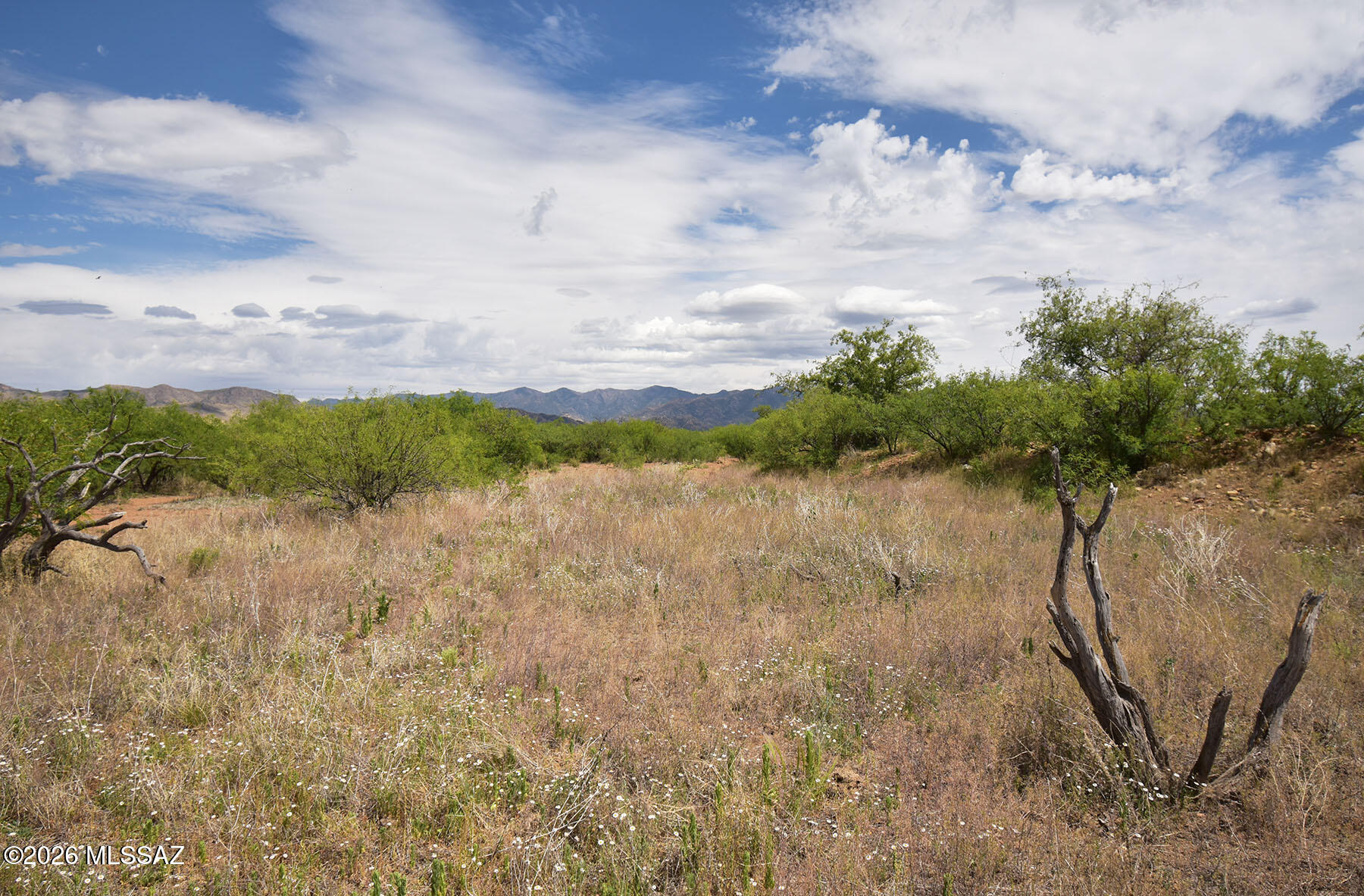Turkey Creek Ranch - Land