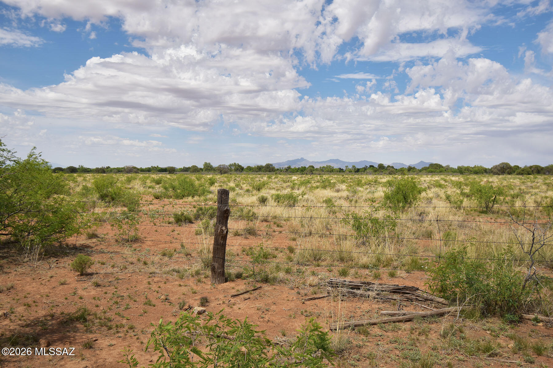 Turkey Creek Ranch - Land