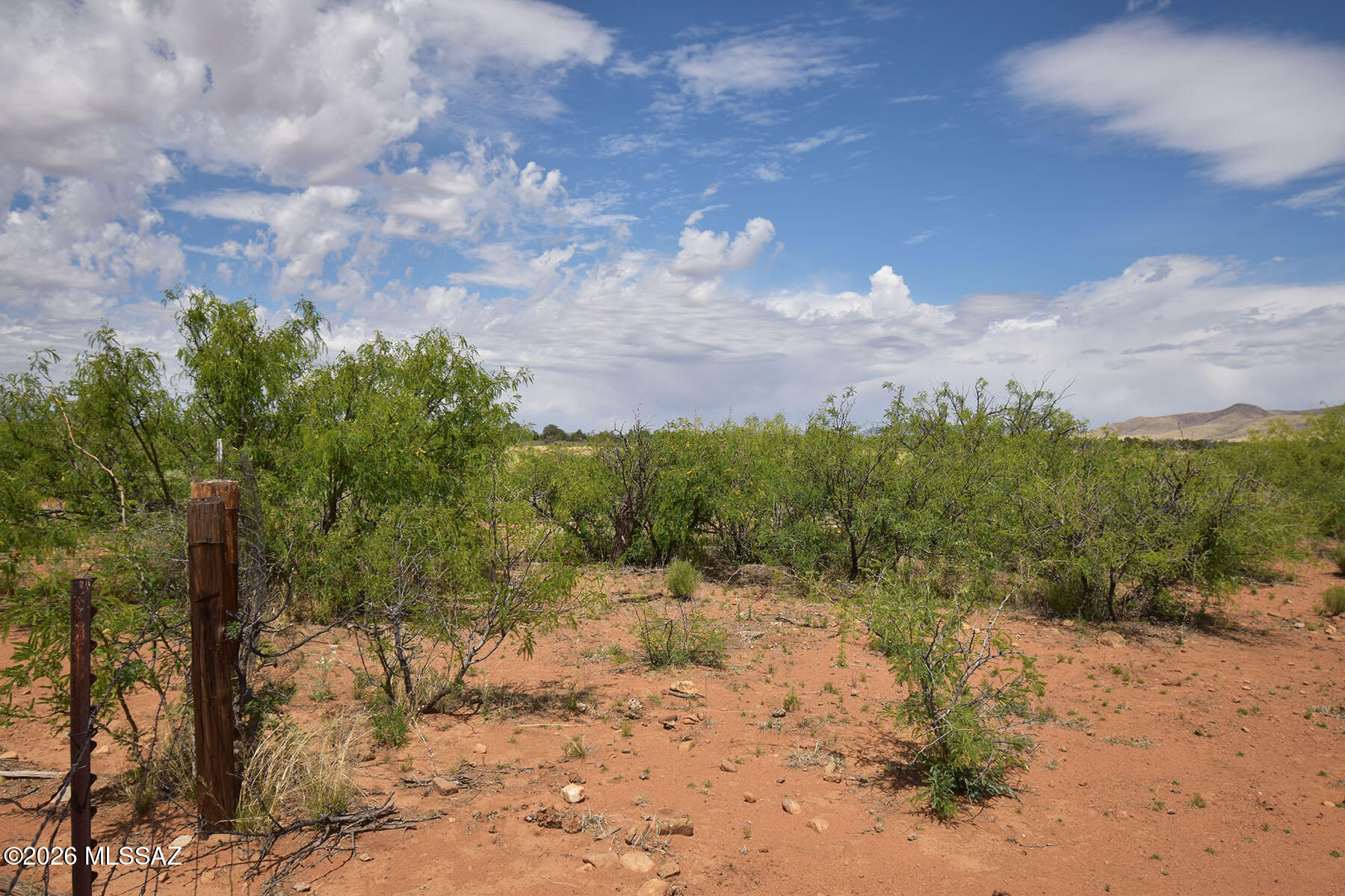 Turkey Creek Ranch - Land