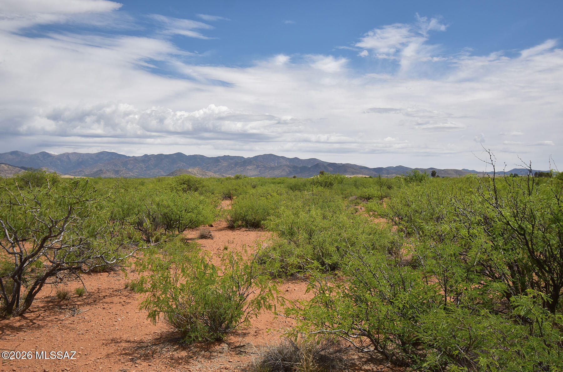 Turkey Creek Ranch - Land
