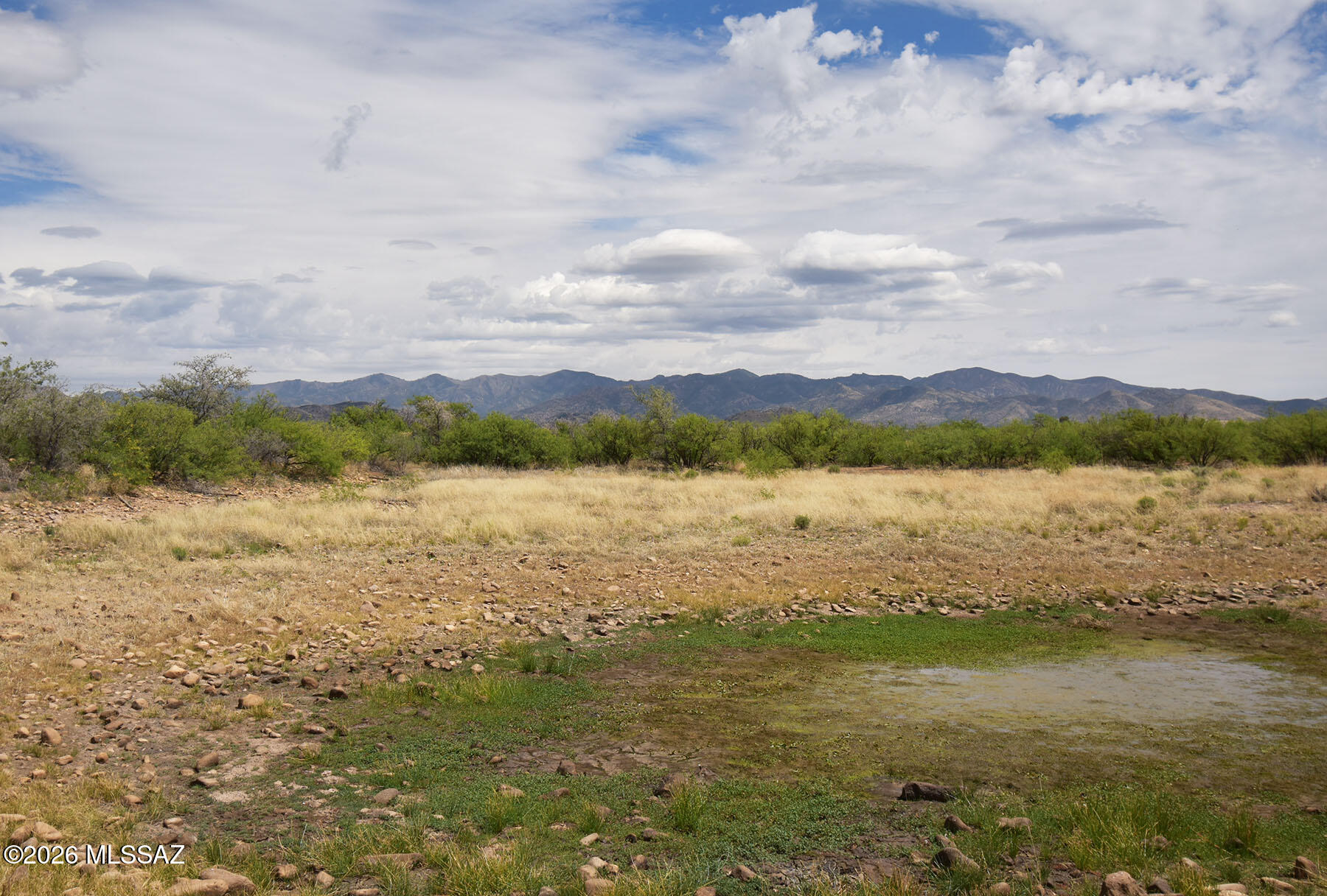 Turkey Creek Ranch - Land