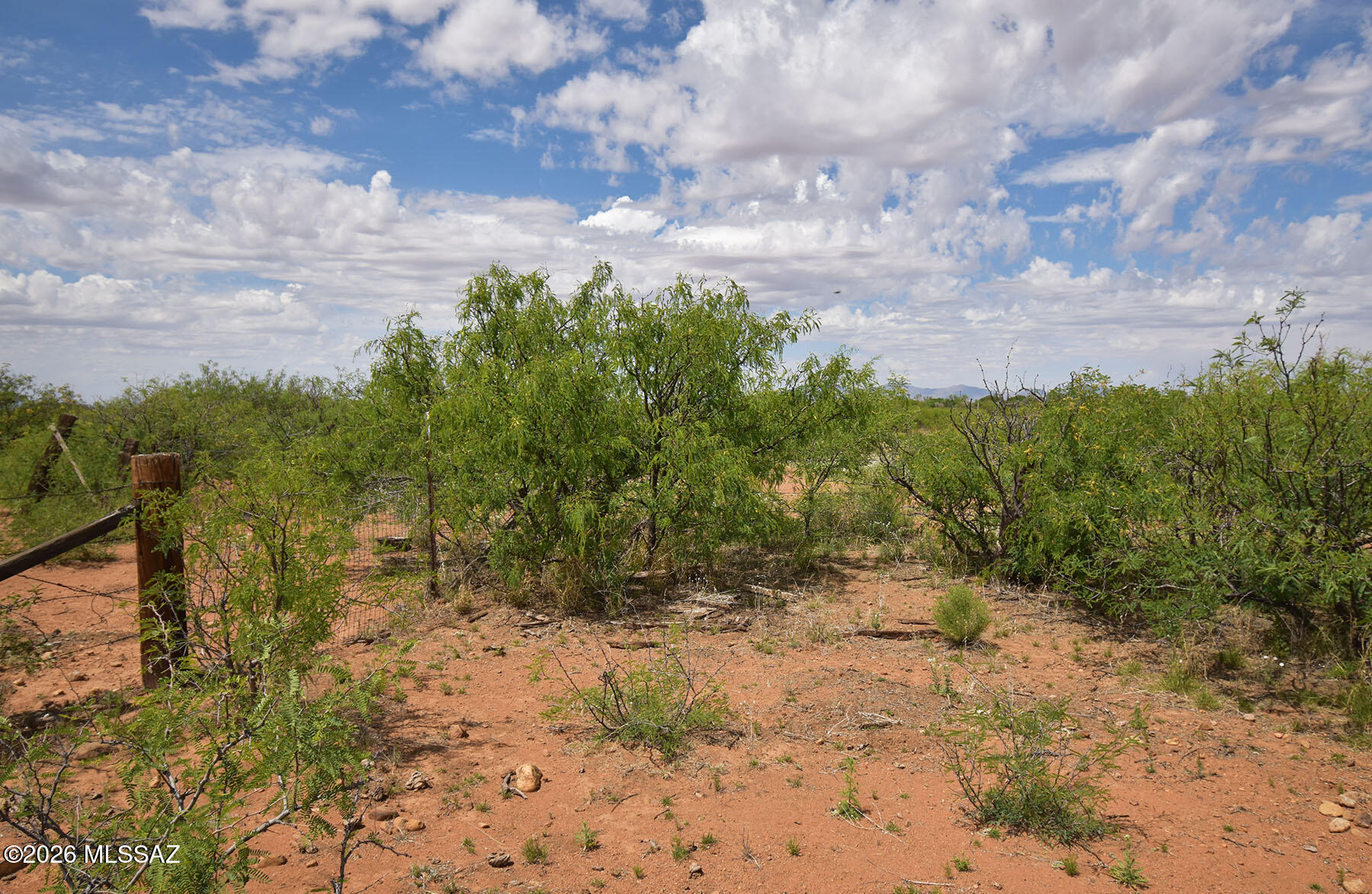 Turkey Creek Ranch - Land