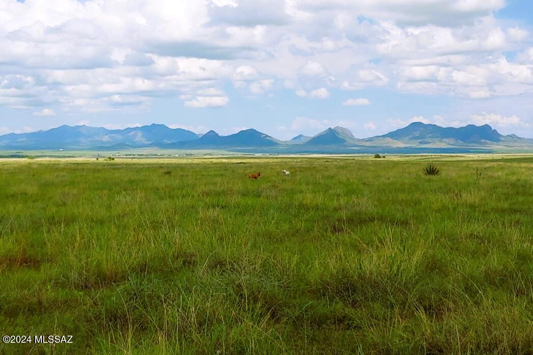 Build your dream on historic Arizona ranchland. Once part of the surrounding Babocomari Ranch, with rolling grasslands, exceptional valley and mountain views, private and quiet living. Pleasant year-round climate at 5,000' elevation. Horse and domestic livestock friendly.  Several possible homesites, with underground electric tie-ins to the lot line and good wells in the area.  Only 7.5 mile drive to Sonoita and 35 minutes to Tucson or Sierra Vista.  Near local wineries, National Forest, Parker Canyon Lake, and Elgin Elementary School. A rare opportunity for a good investment and make living the good life reality.  Also available in larger acreage up to 220 acres total.  Inquire about protective CCR's and take a tour of this unique offering.