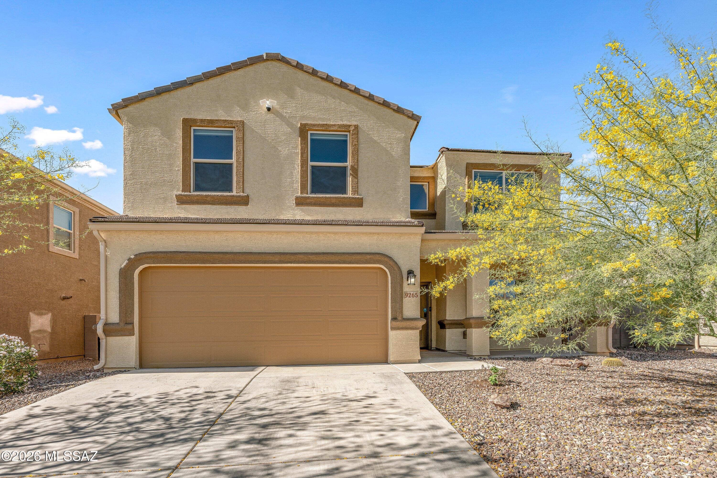 Saguaro Bloom SQ20180540069 - Residential