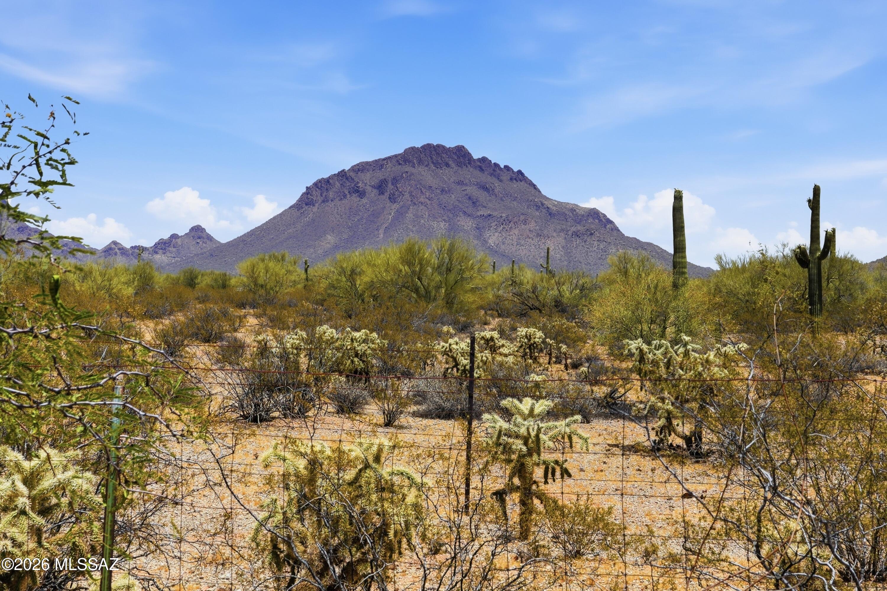 Tucson Saguaro Estates (1-67) - Residential