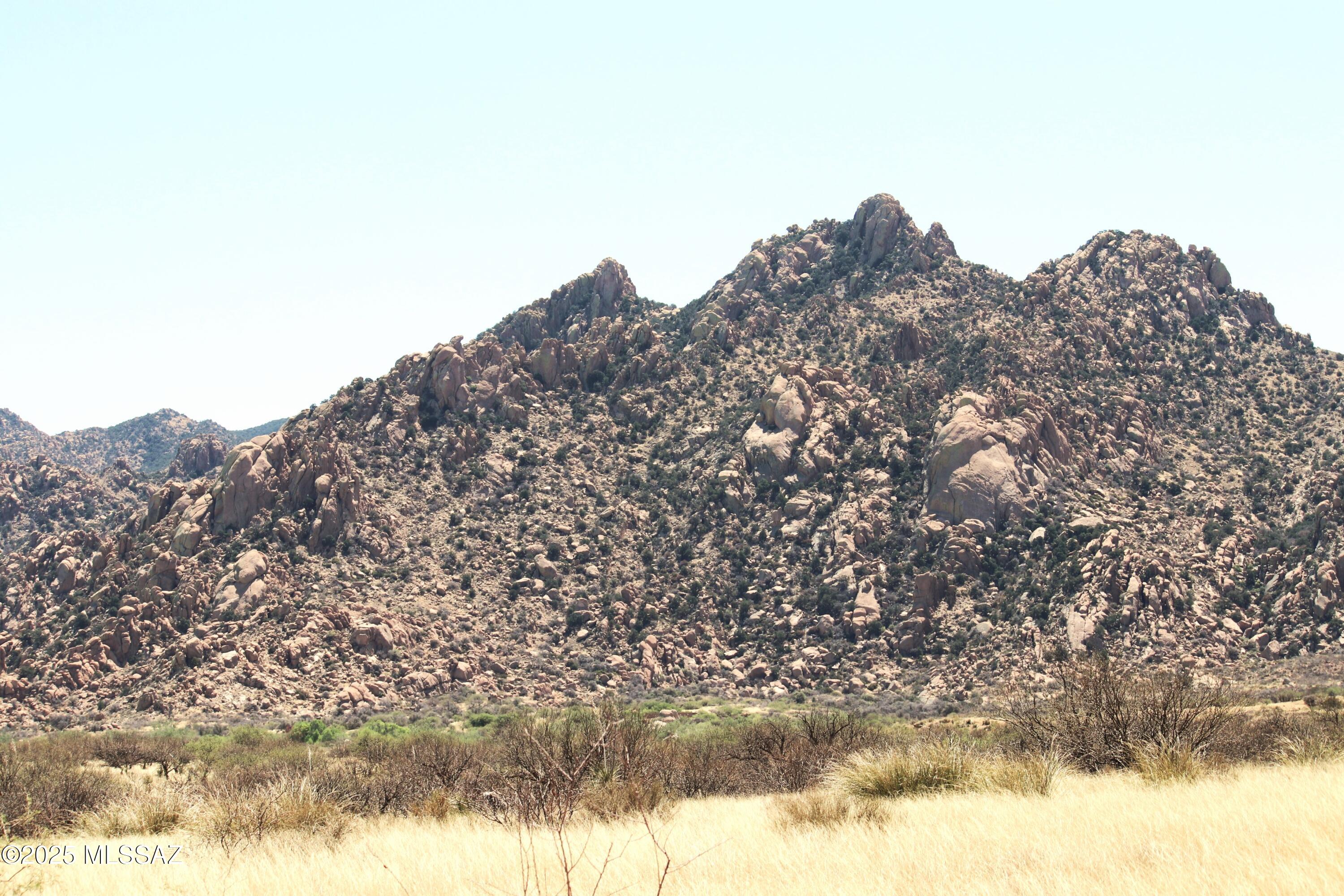 Dragoon Mountain Ranch - Land