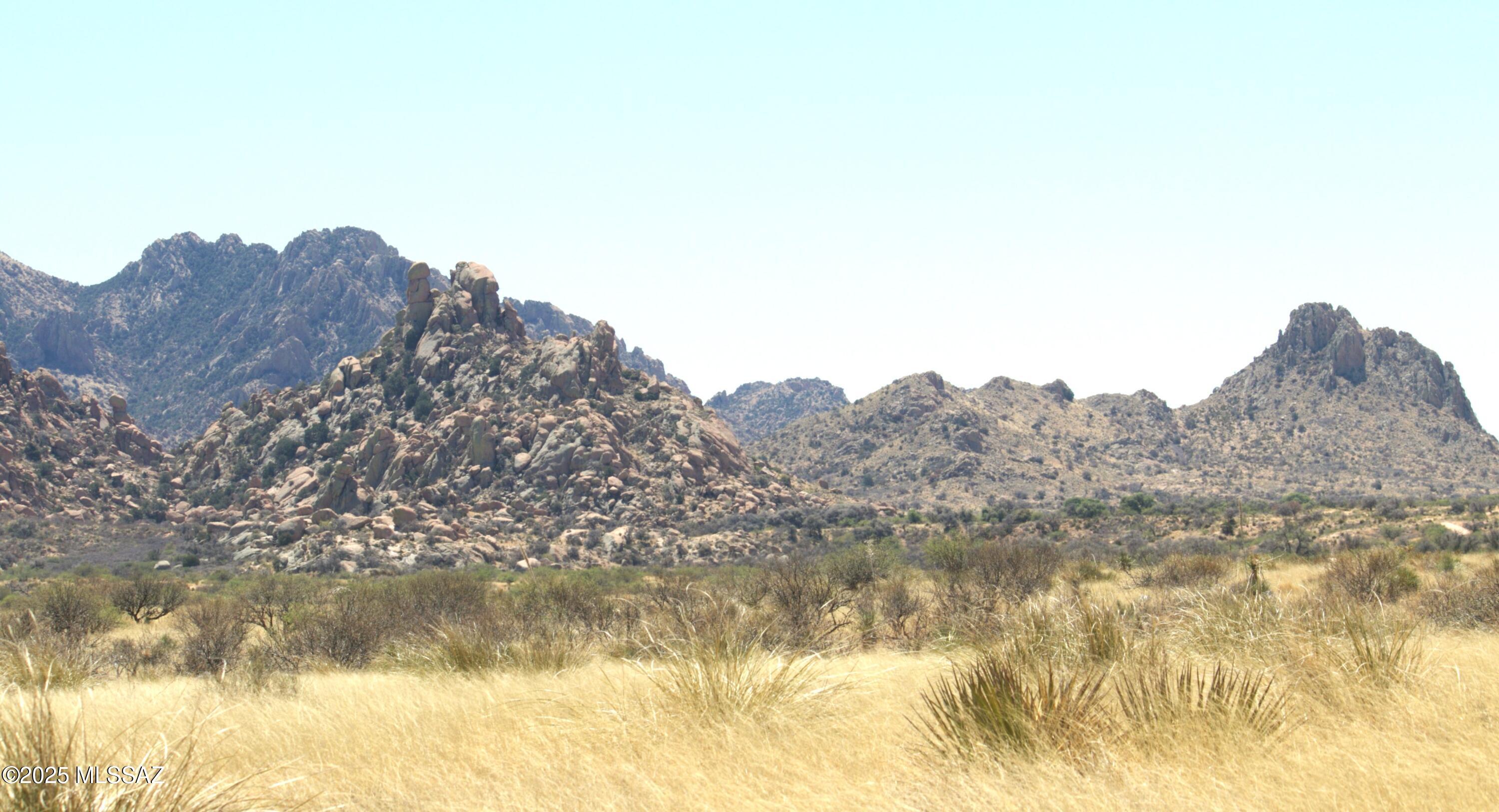 Dragoon Mountain Ranch - Land