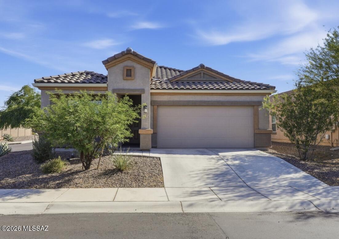 Saguaro Bloom SQ20180540069 - Residential