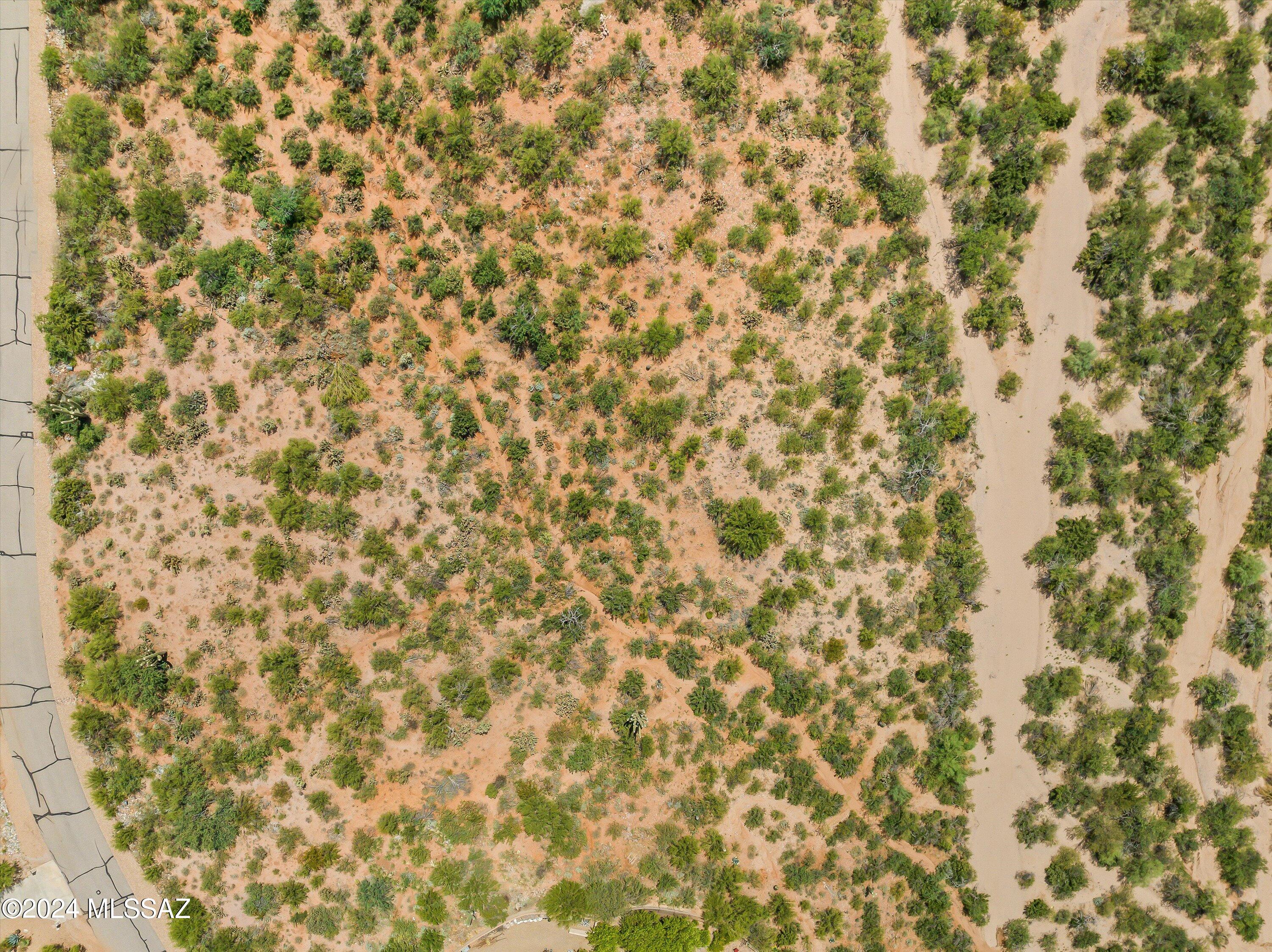 Mountain Creek Ranch (1-64) - Land