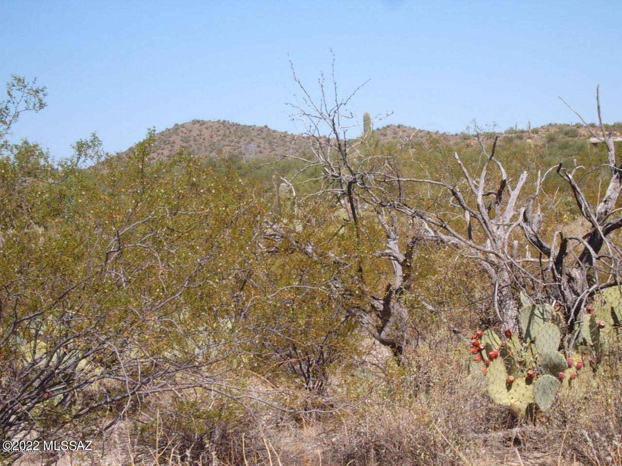 Large Monumental acreage with tons of possibilities for investment or hide in the hills. Very secluded and off the beat & path.