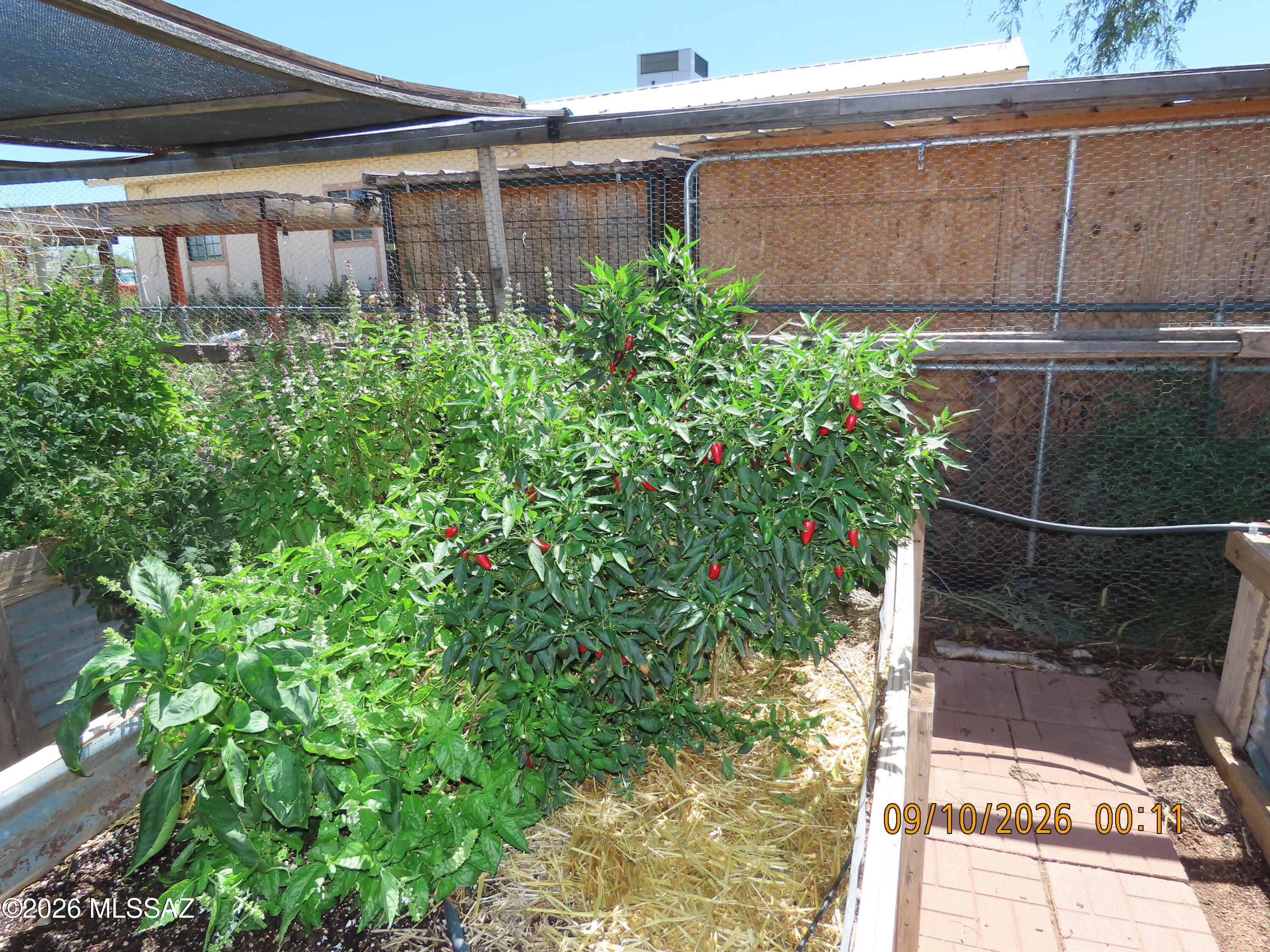 Mescal Lakes - Residential
