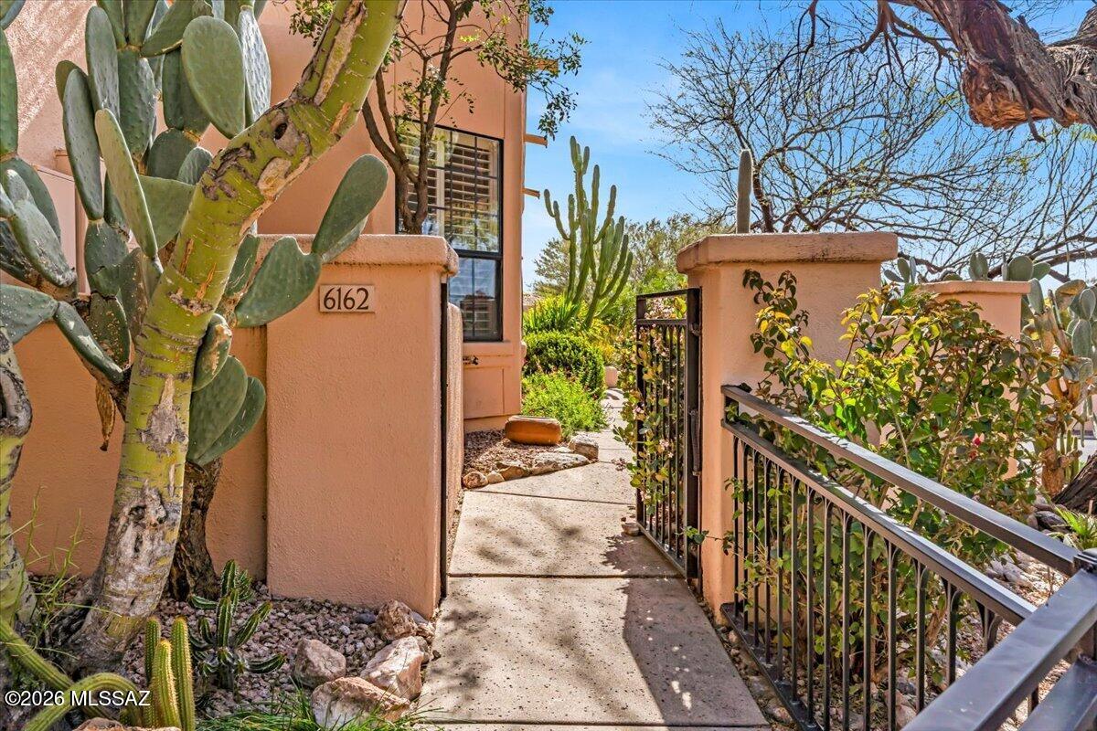 Paloma Del Sol (1-50) - Residential