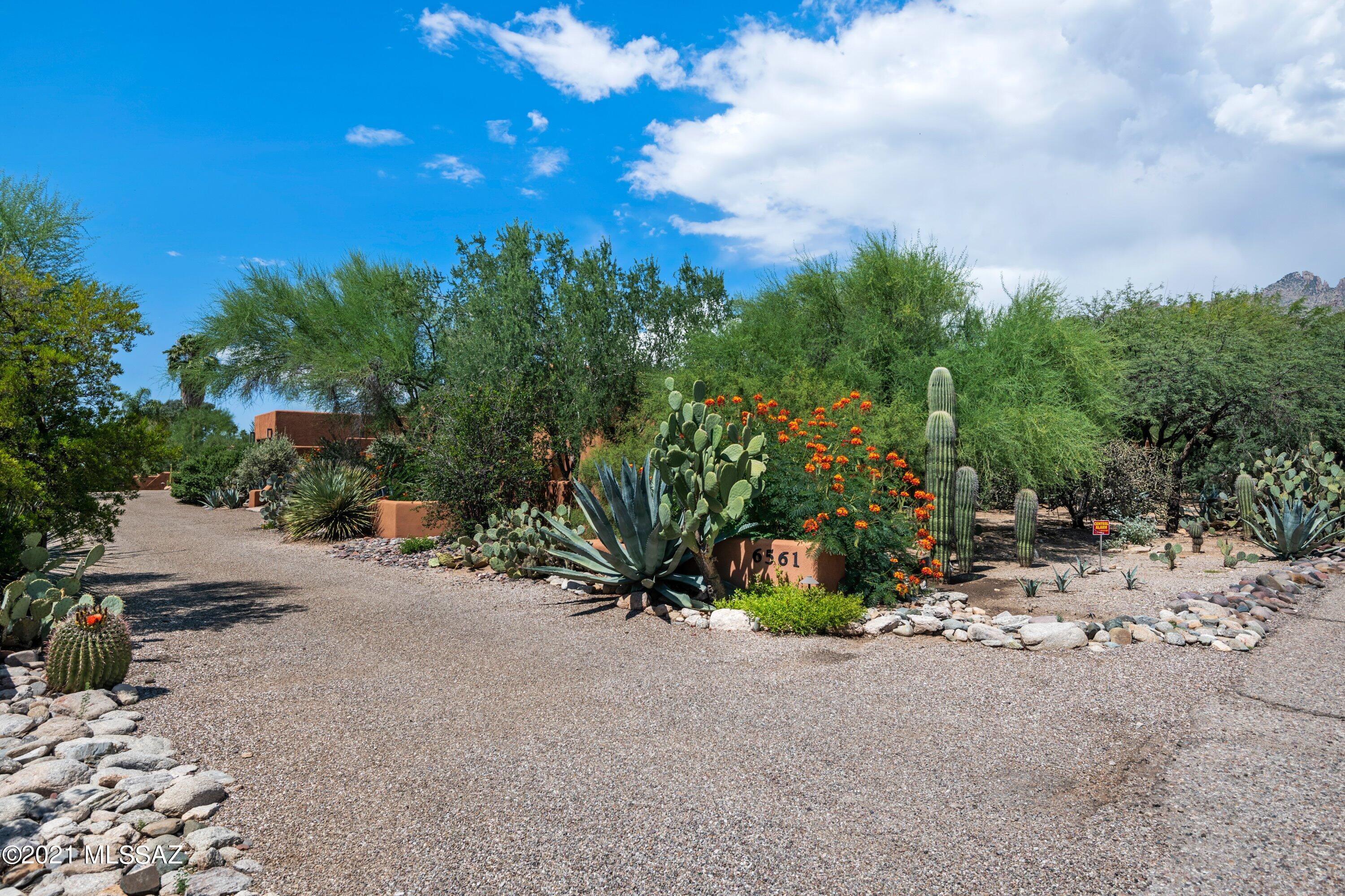 Catalina Foothills Est 9 - Residential Lease