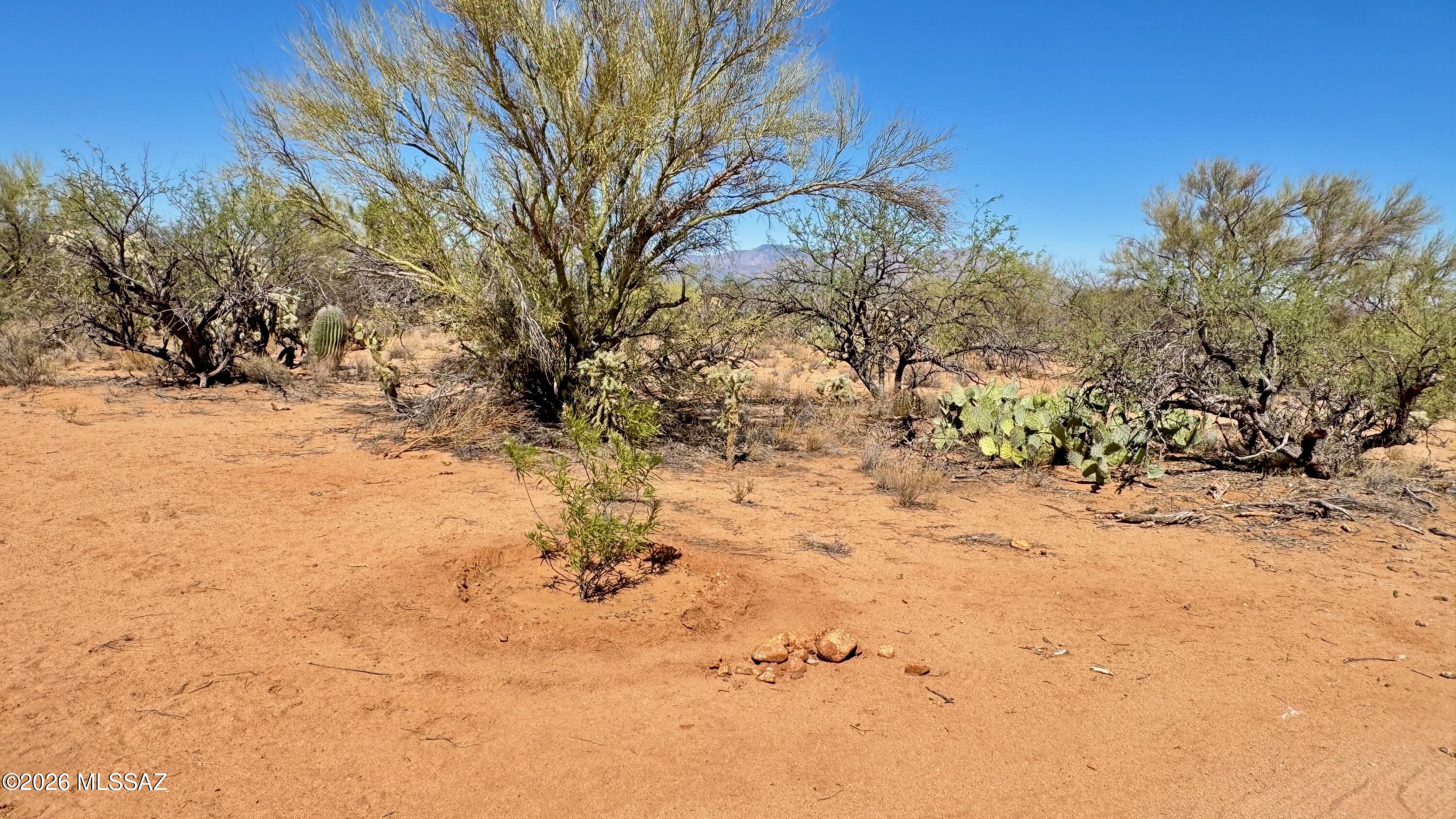Diamond Bell Ranch - Tucson Unit 11 (1-448) - Land
