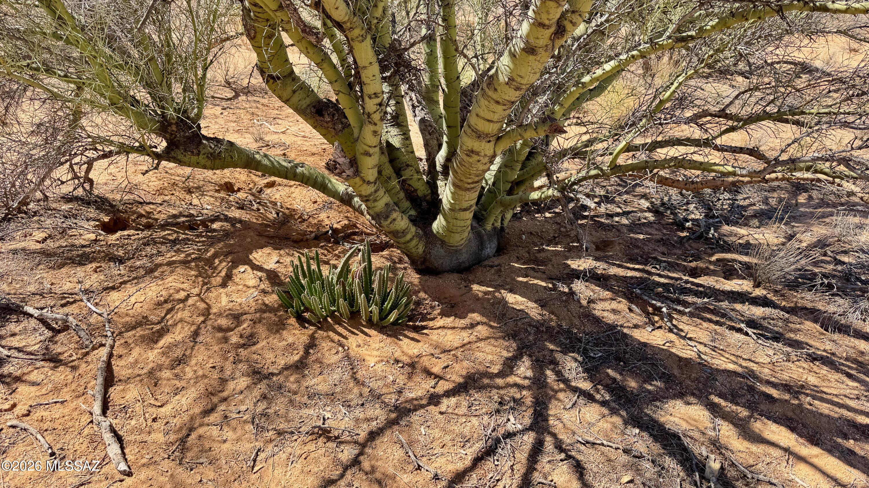Diamond Bell Ranch - Tucson Unit 11 (1-448) - Land