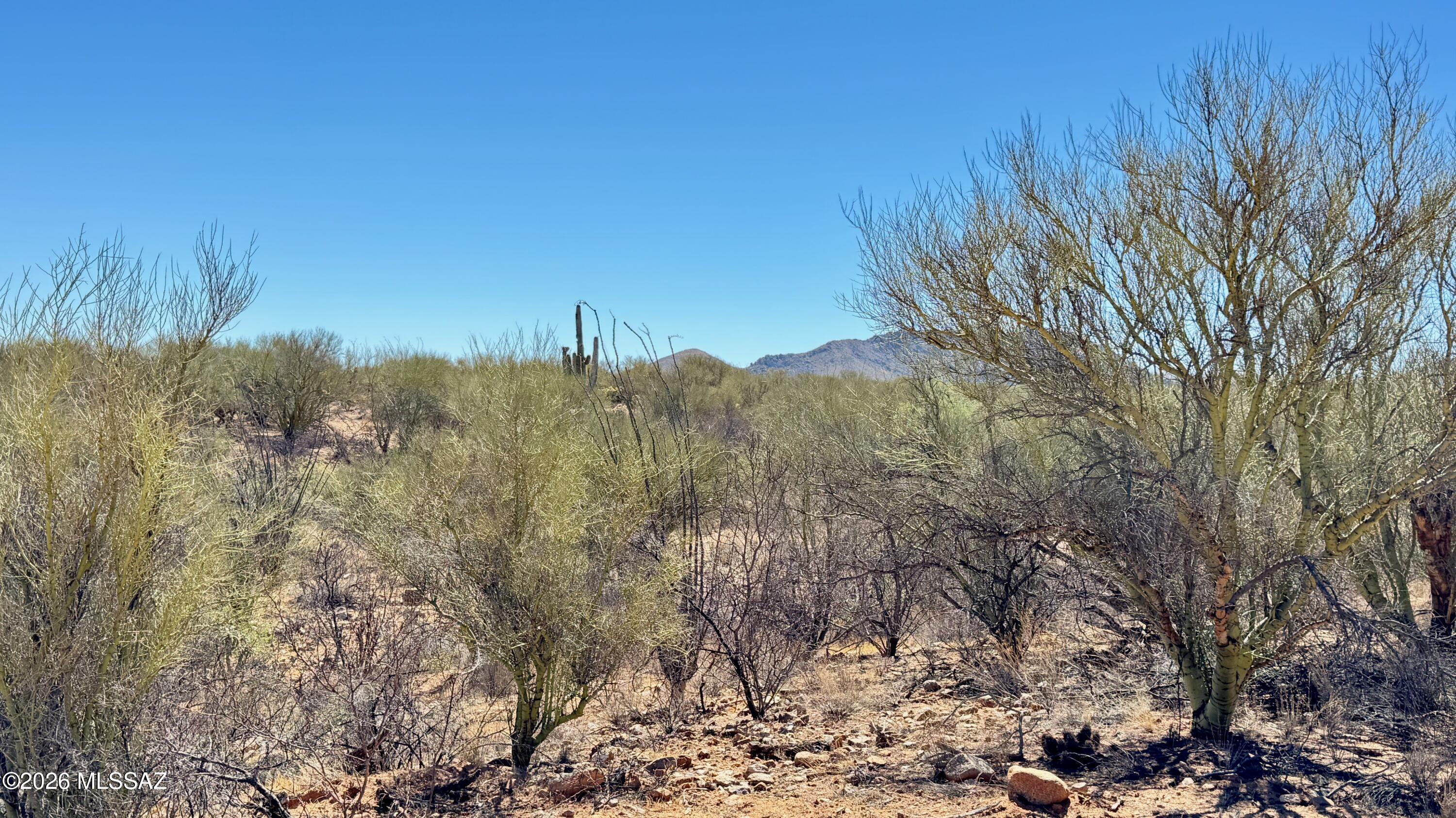 Diamond Bell Ranch - Tucson Unit 11 (1-448) - Land
