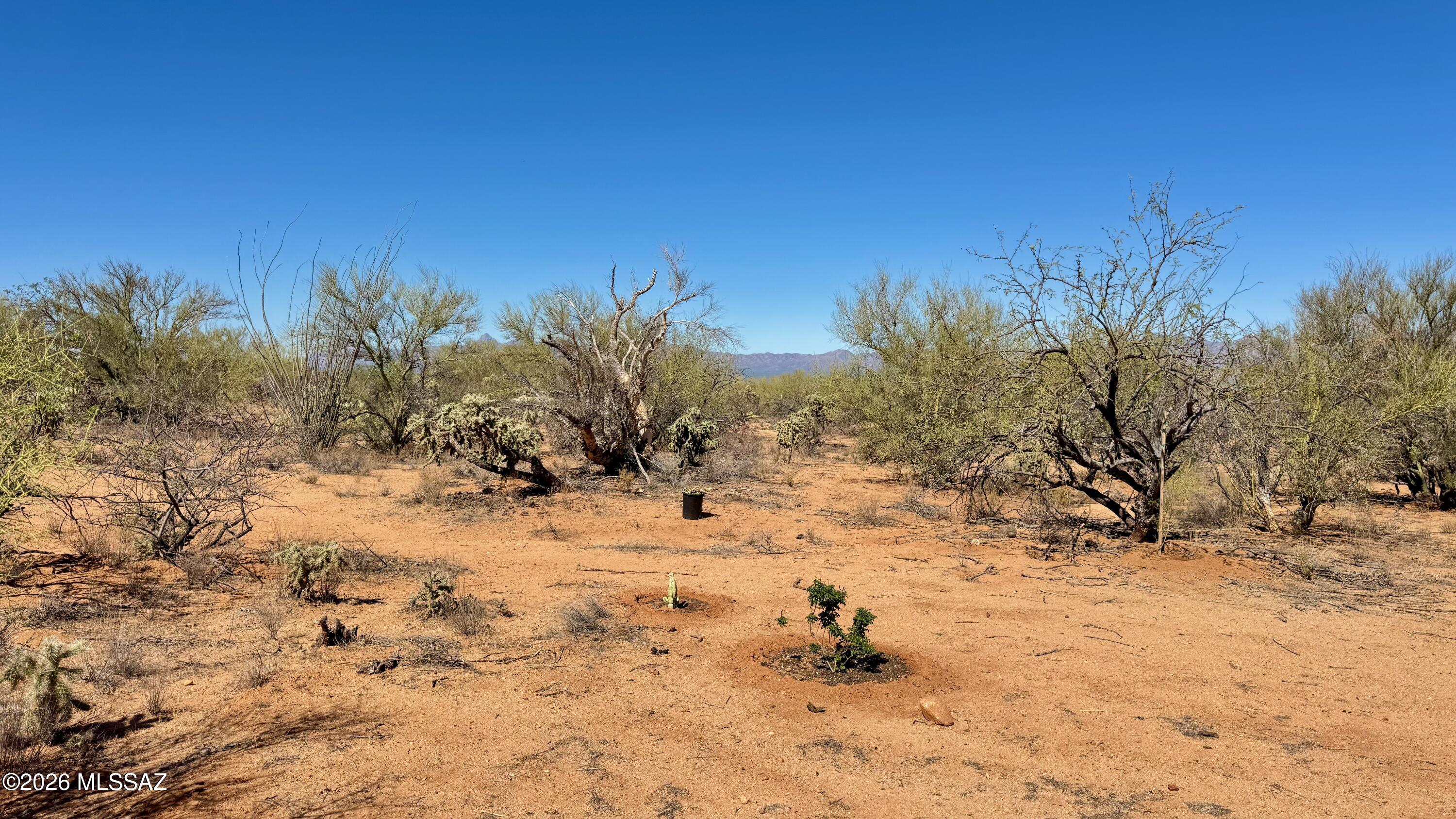 Diamond Bell Ranch - Tucson Unit 11 (1-448) - Land