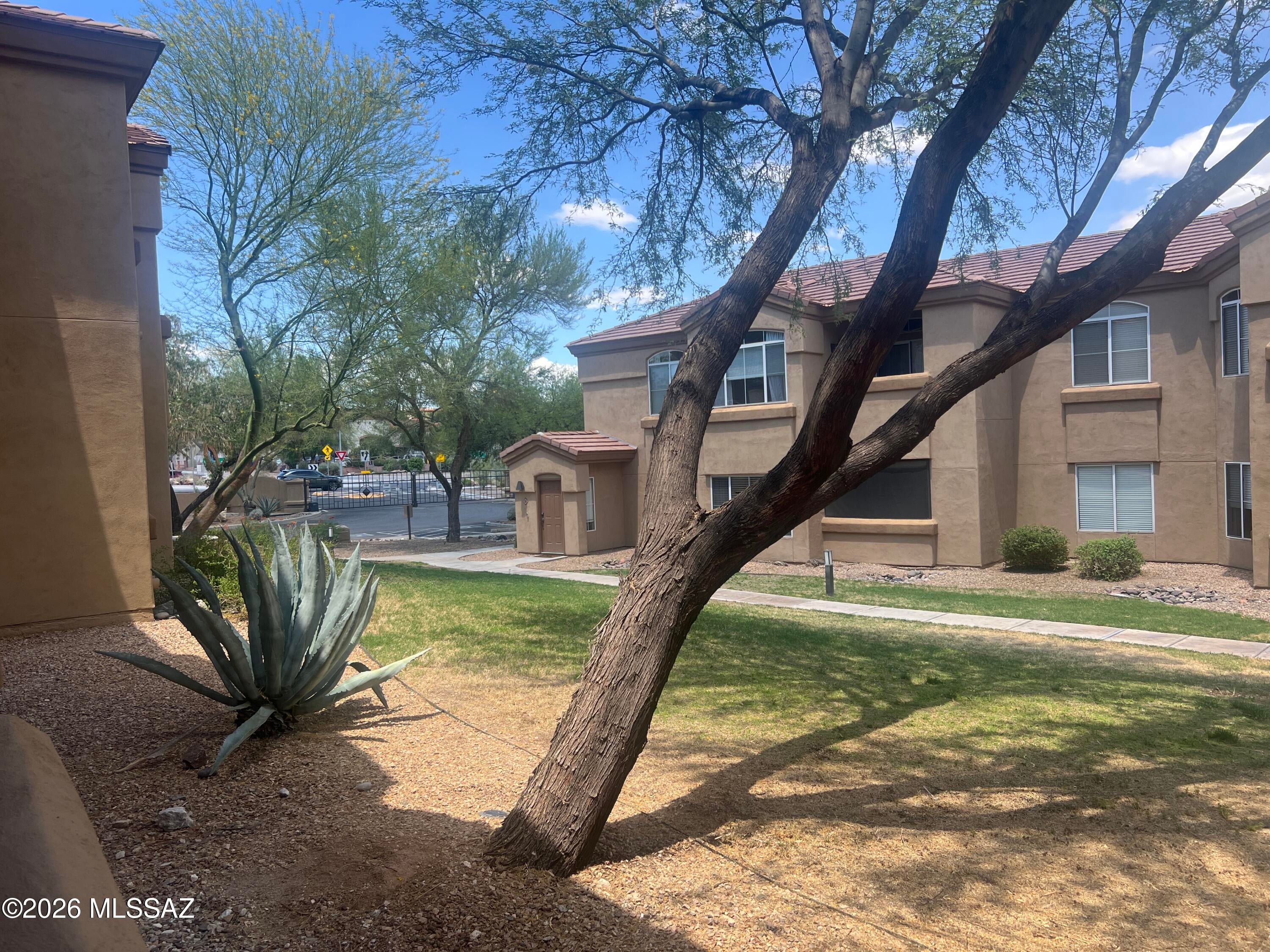 Pinnacle Canyon Condominium - Residential Lease