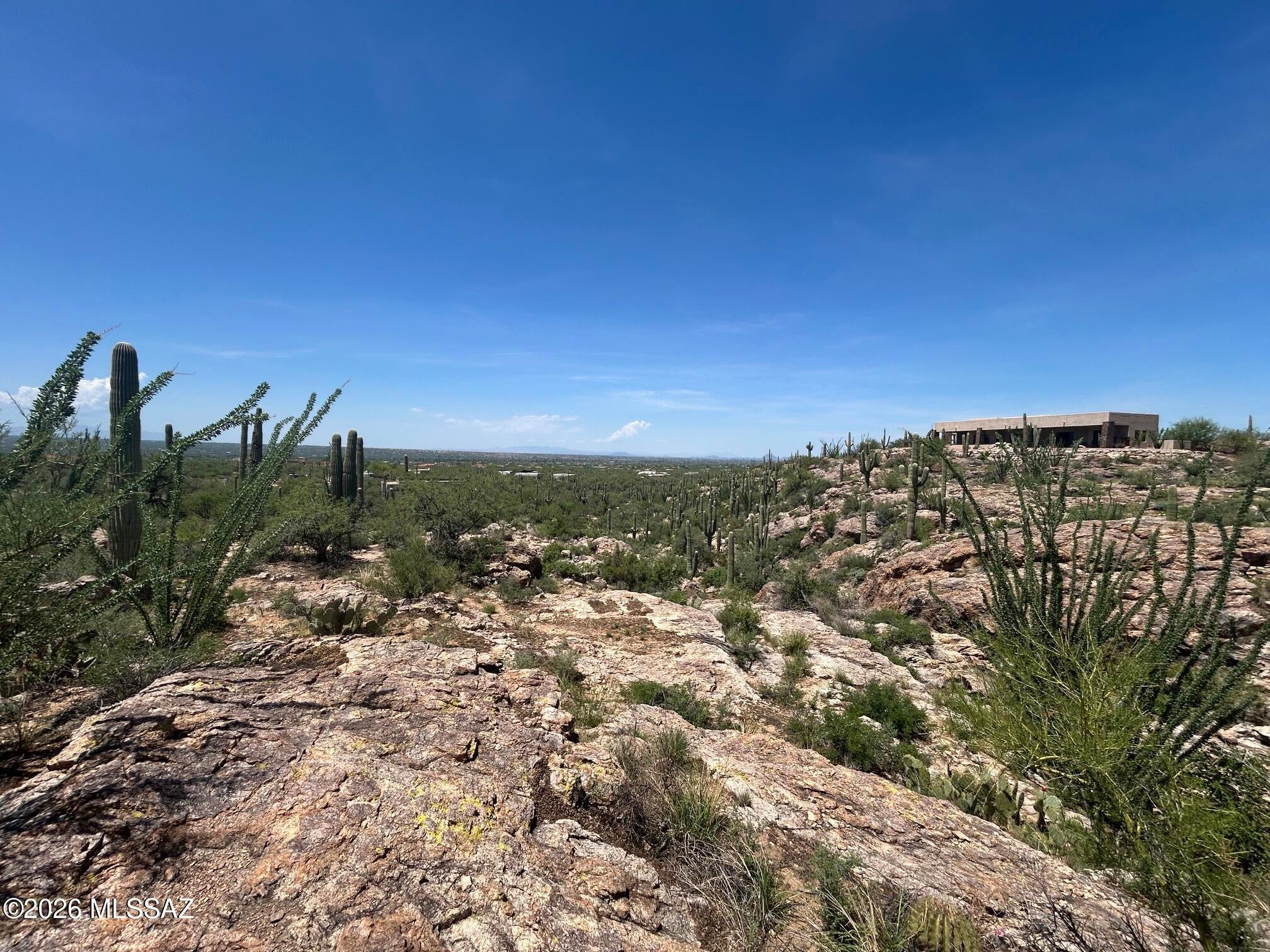 Palo Verde Ranch - Land
