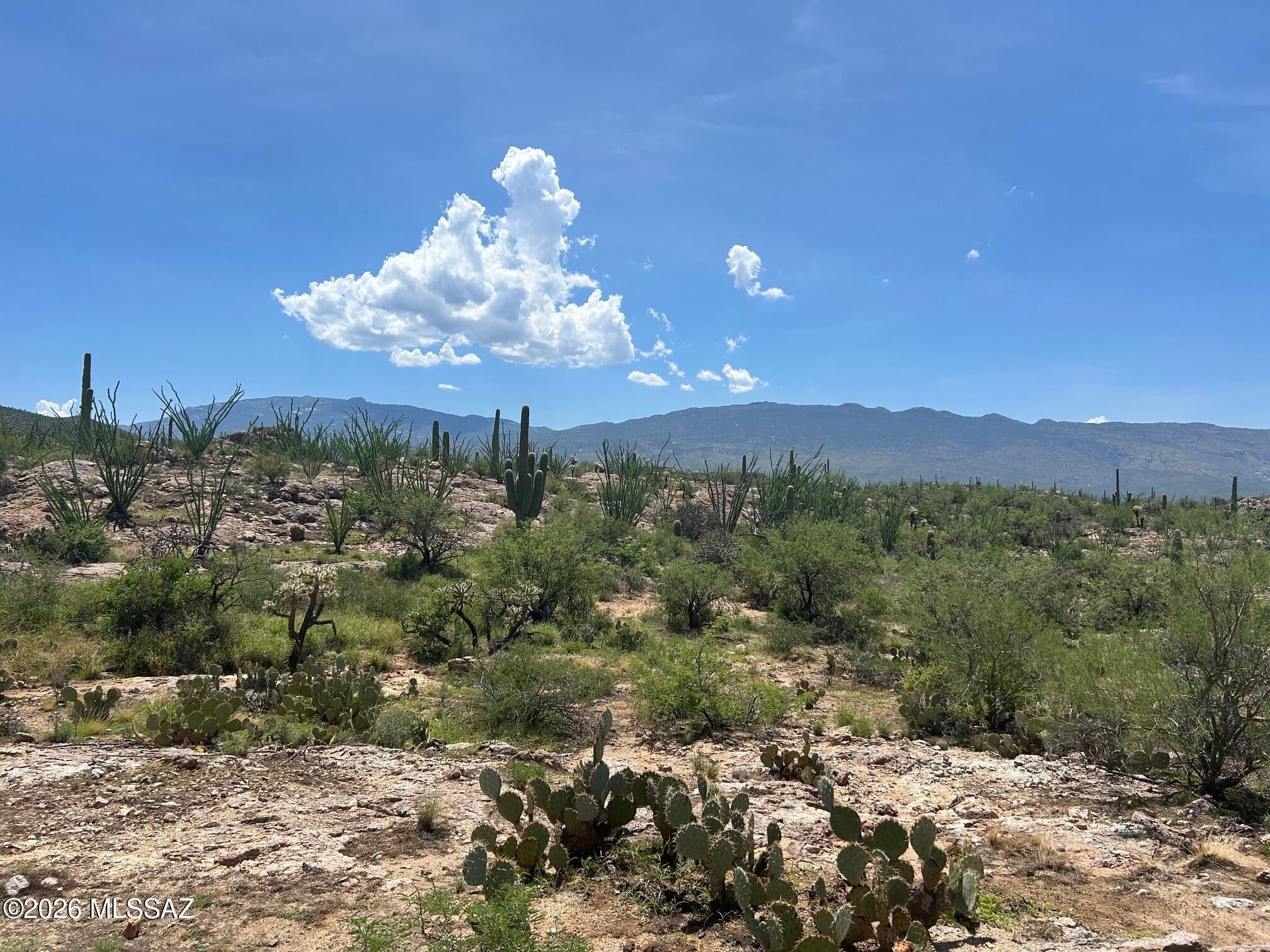 Palo Verde Ranch - Land