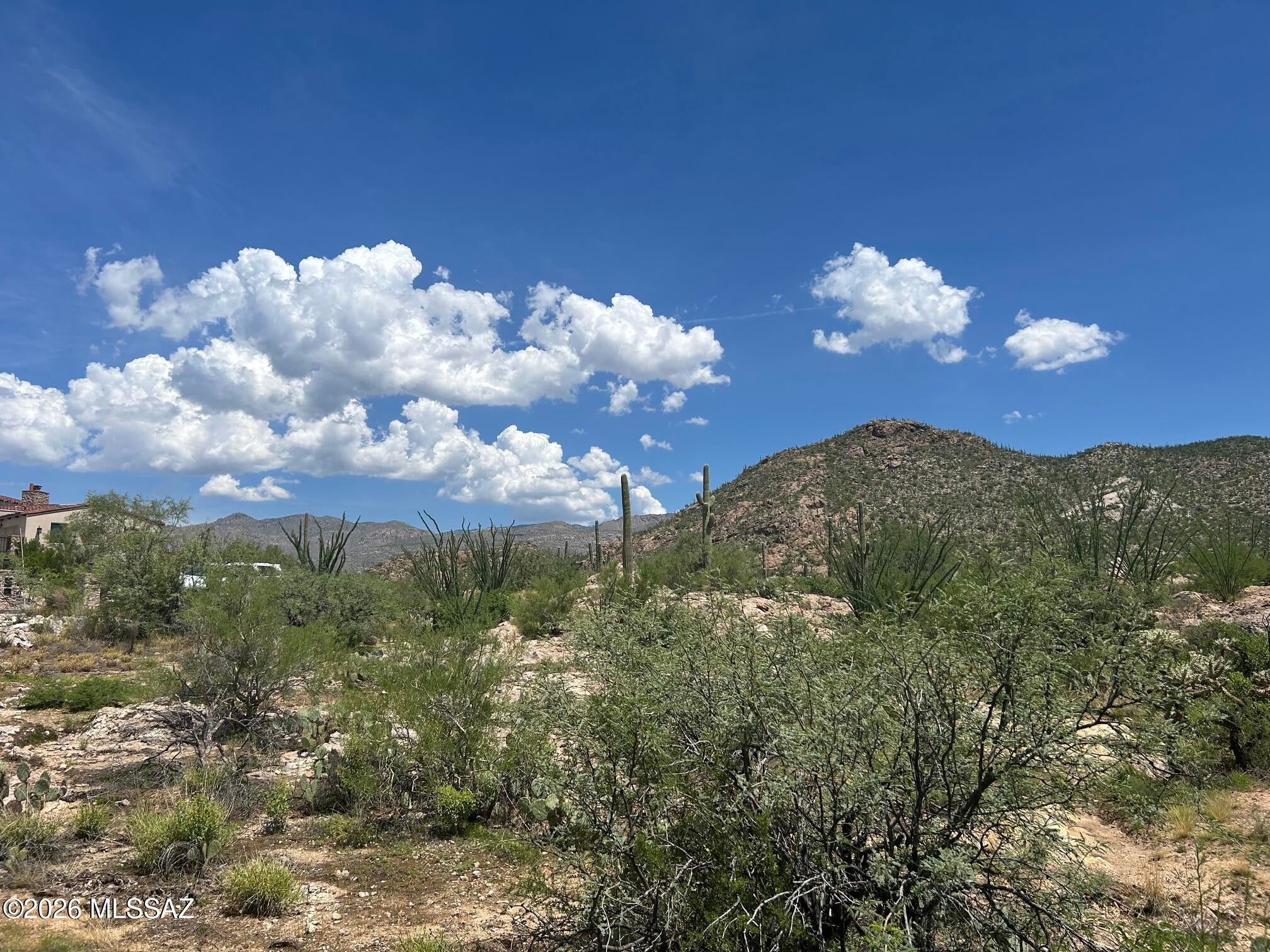 Palo Verde Ranch - Land