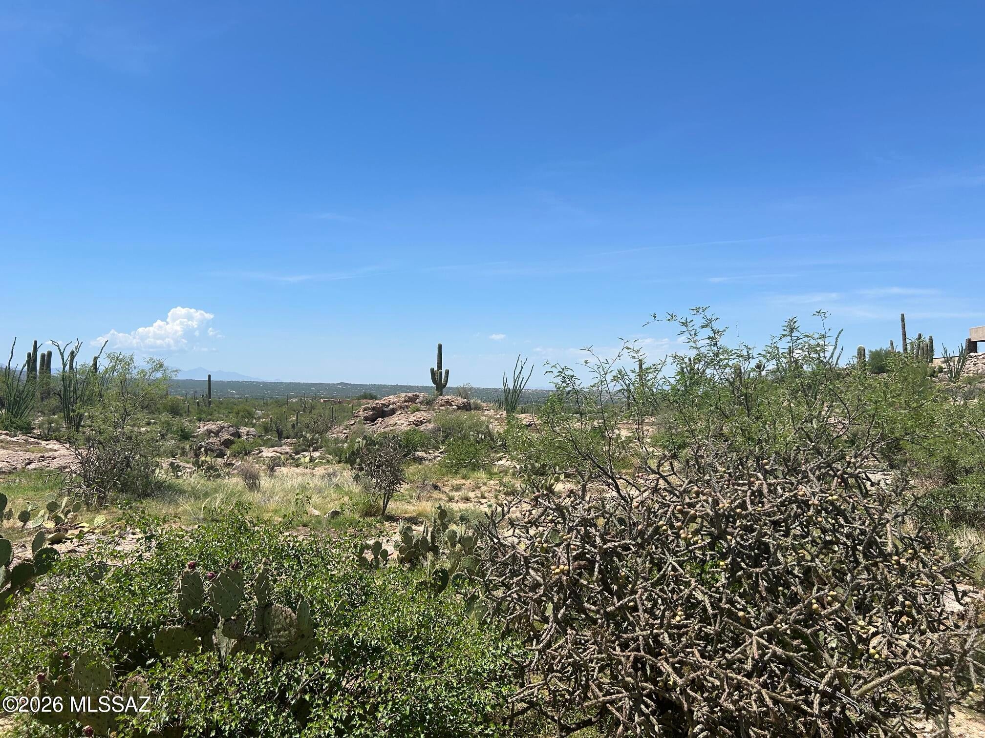 Palo Verde Ranch - Land