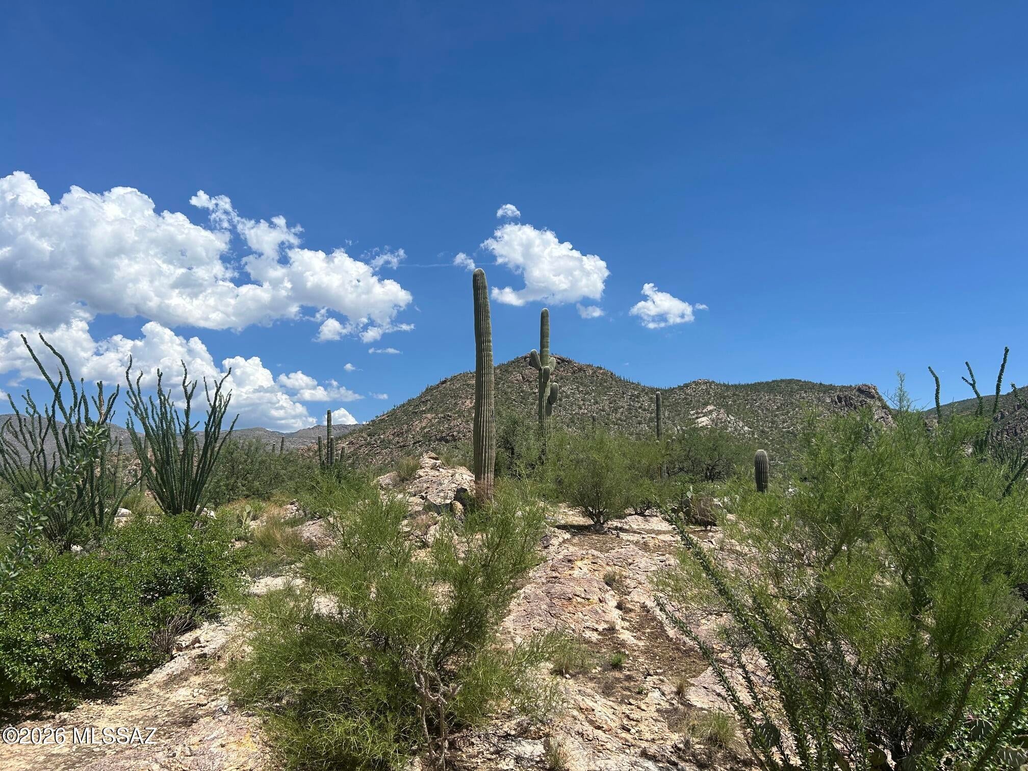Palo Verde Ranch - Land