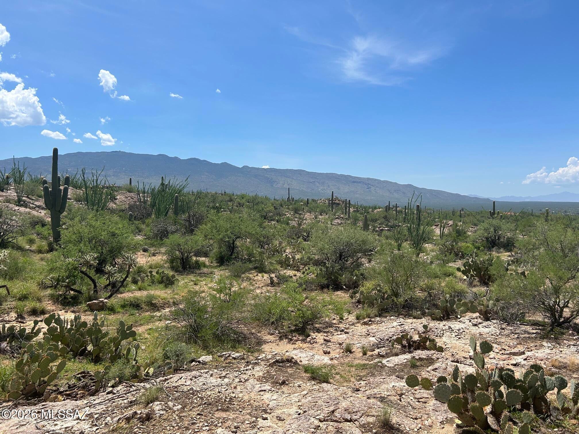 Palo Verde Ranch - Land