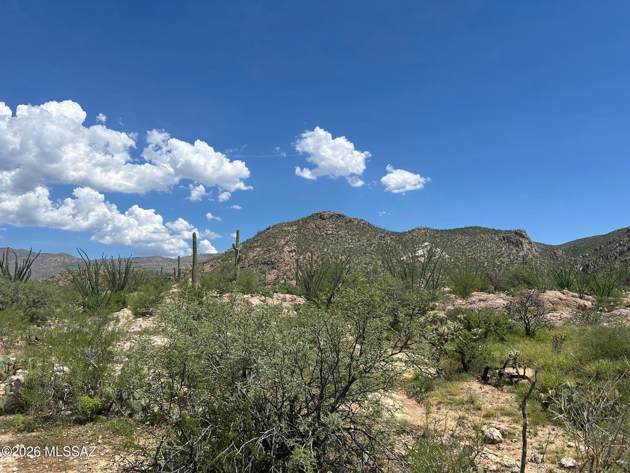 Palo Verde Ranch - Land