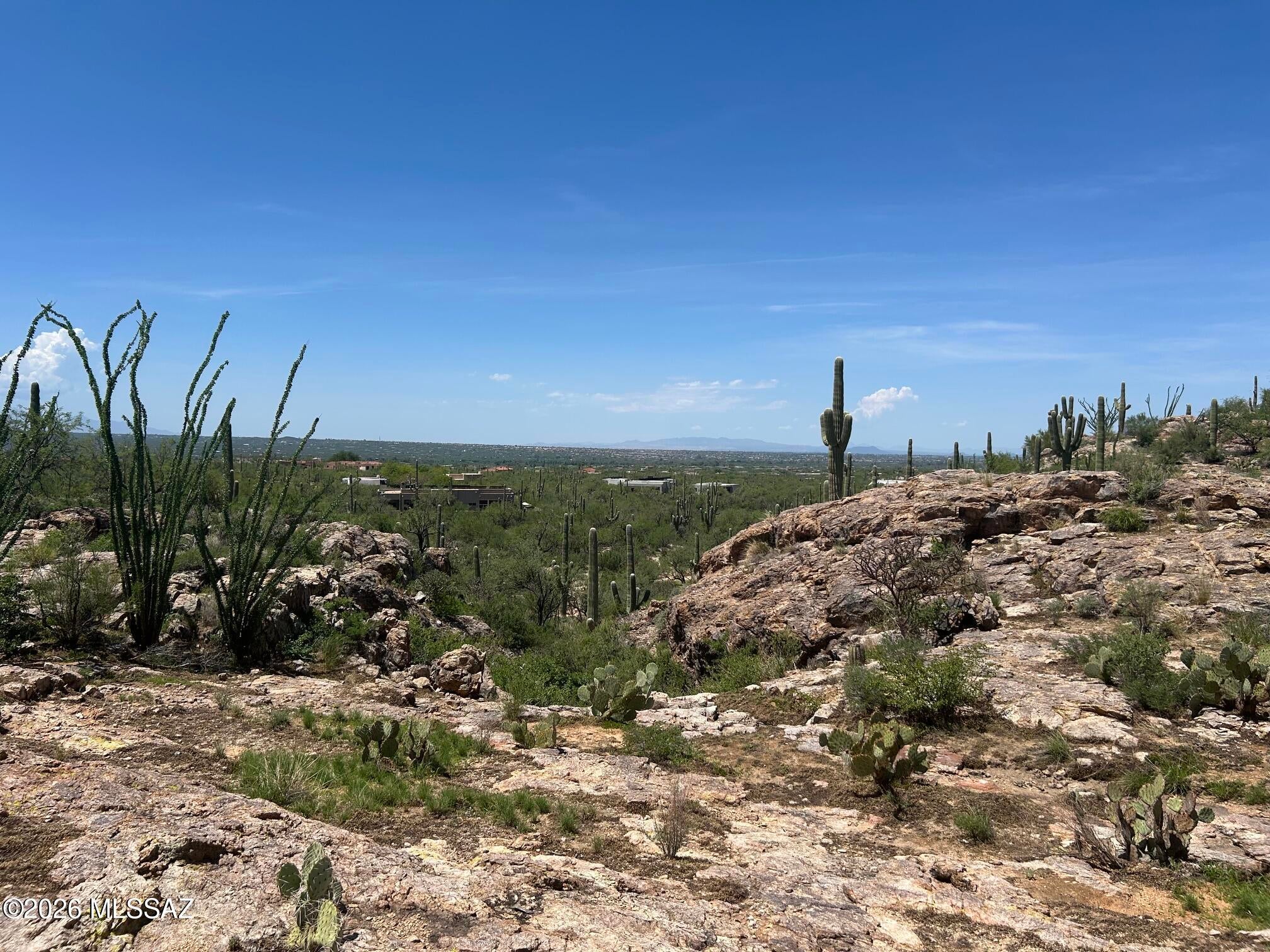Palo Verde Ranch - Land