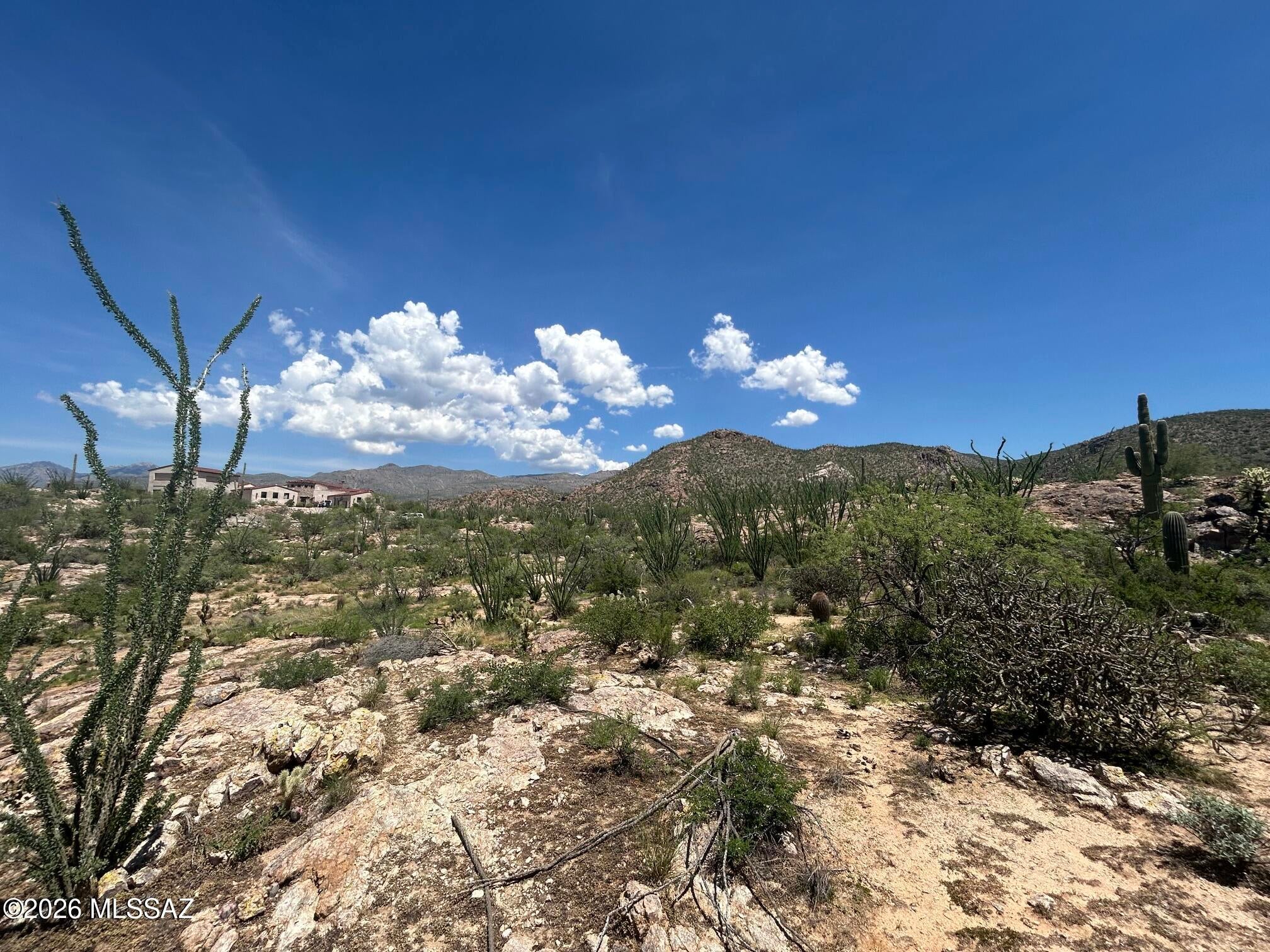 Palo Verde Ranch - Land