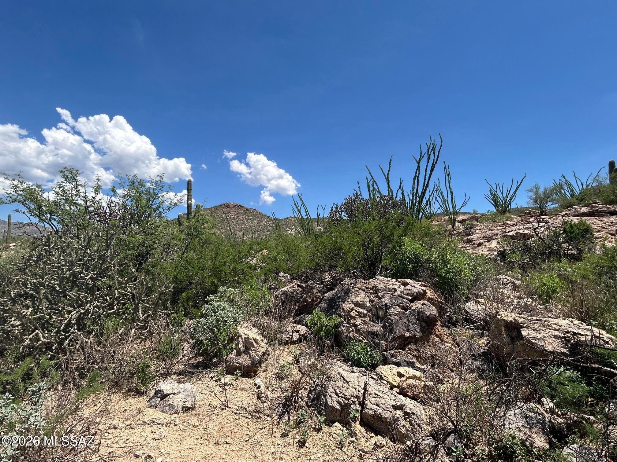 Palo Verde Ranch - Land
